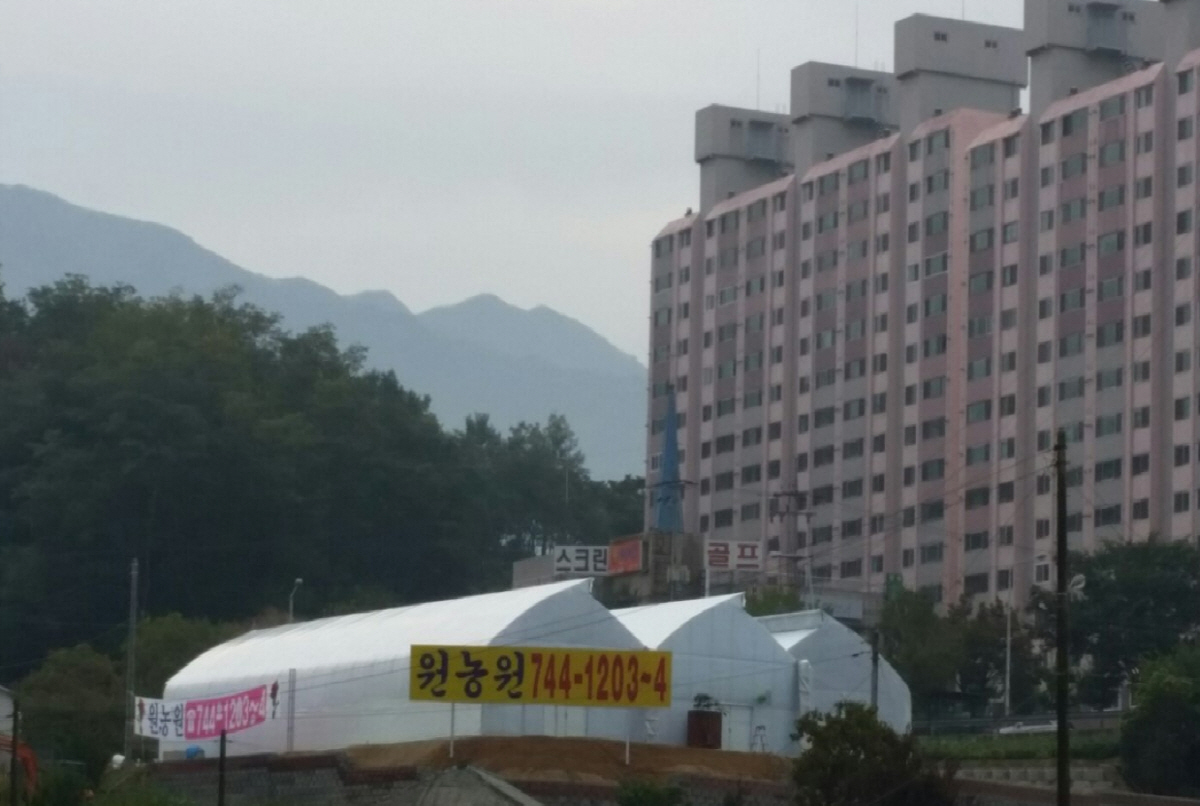 원주꽃집 원농원