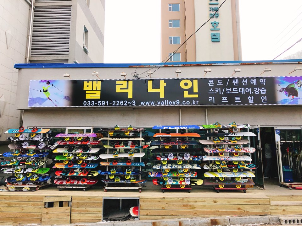 하이원스키샵 밸리나인