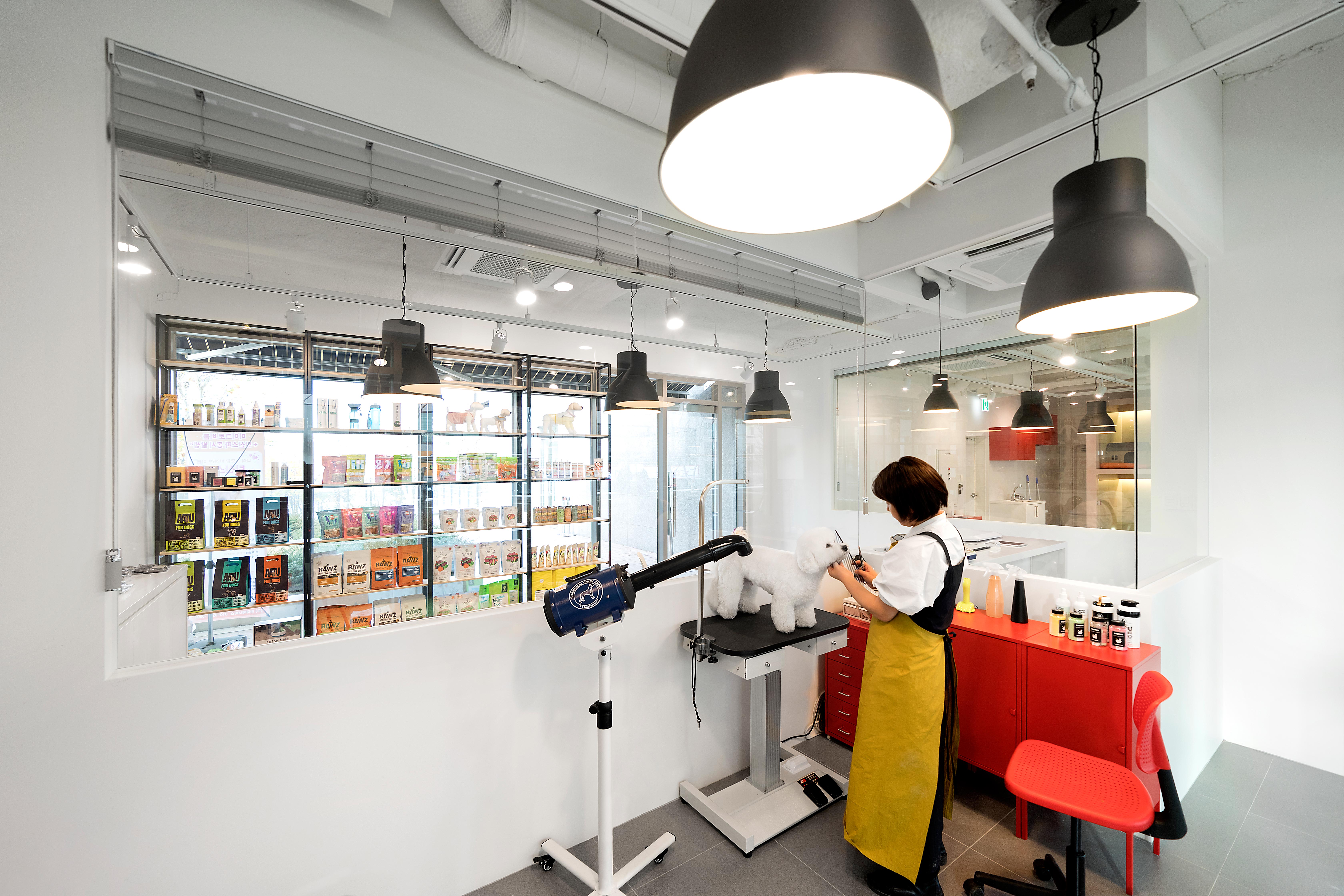 개님살롱 대표 이미지