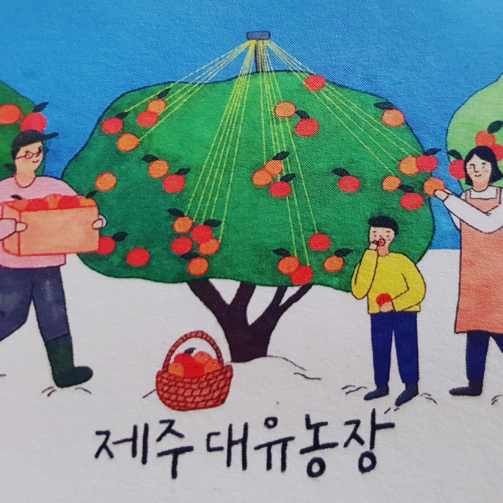 제주대유농장