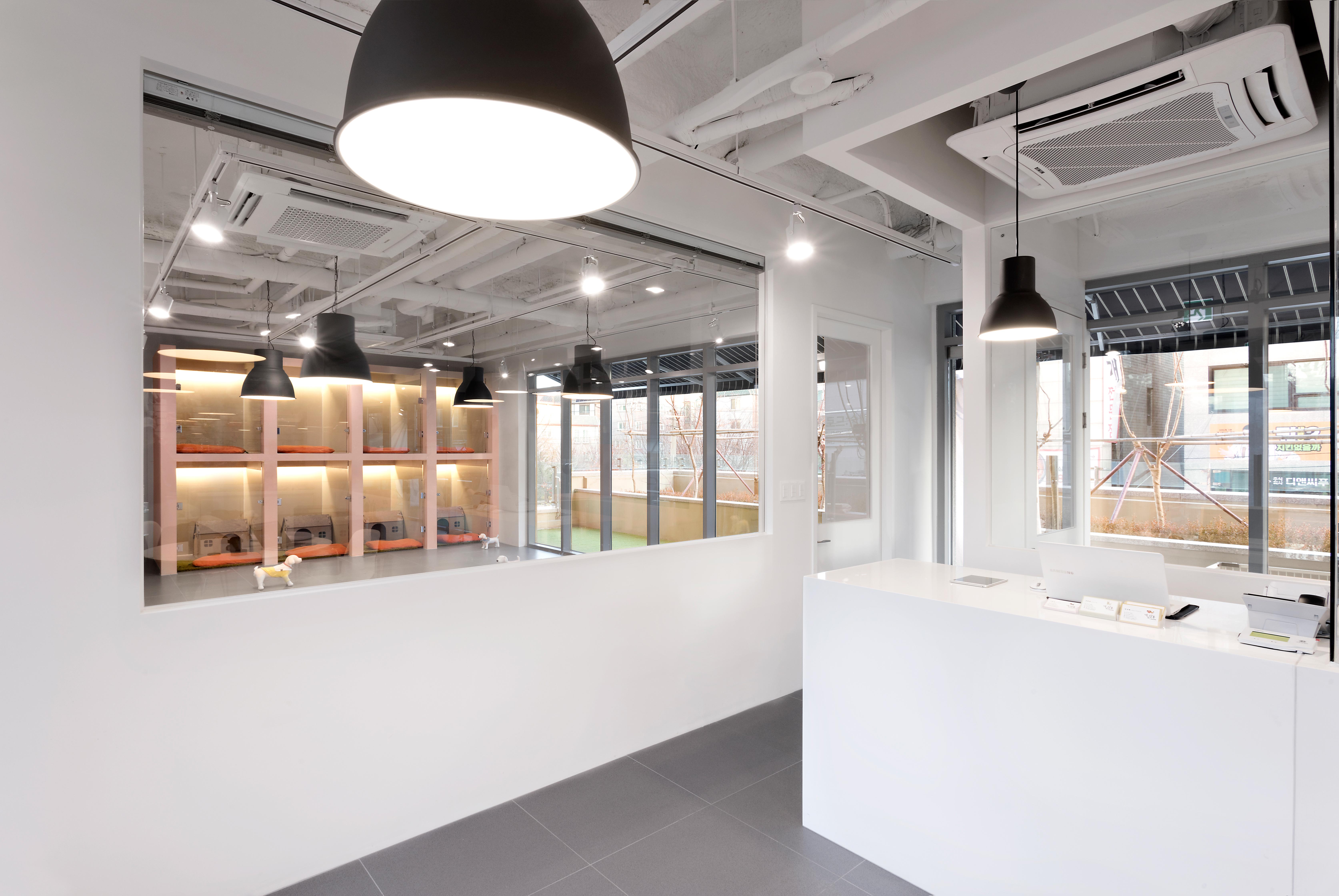 개님살롱 대표 이미지