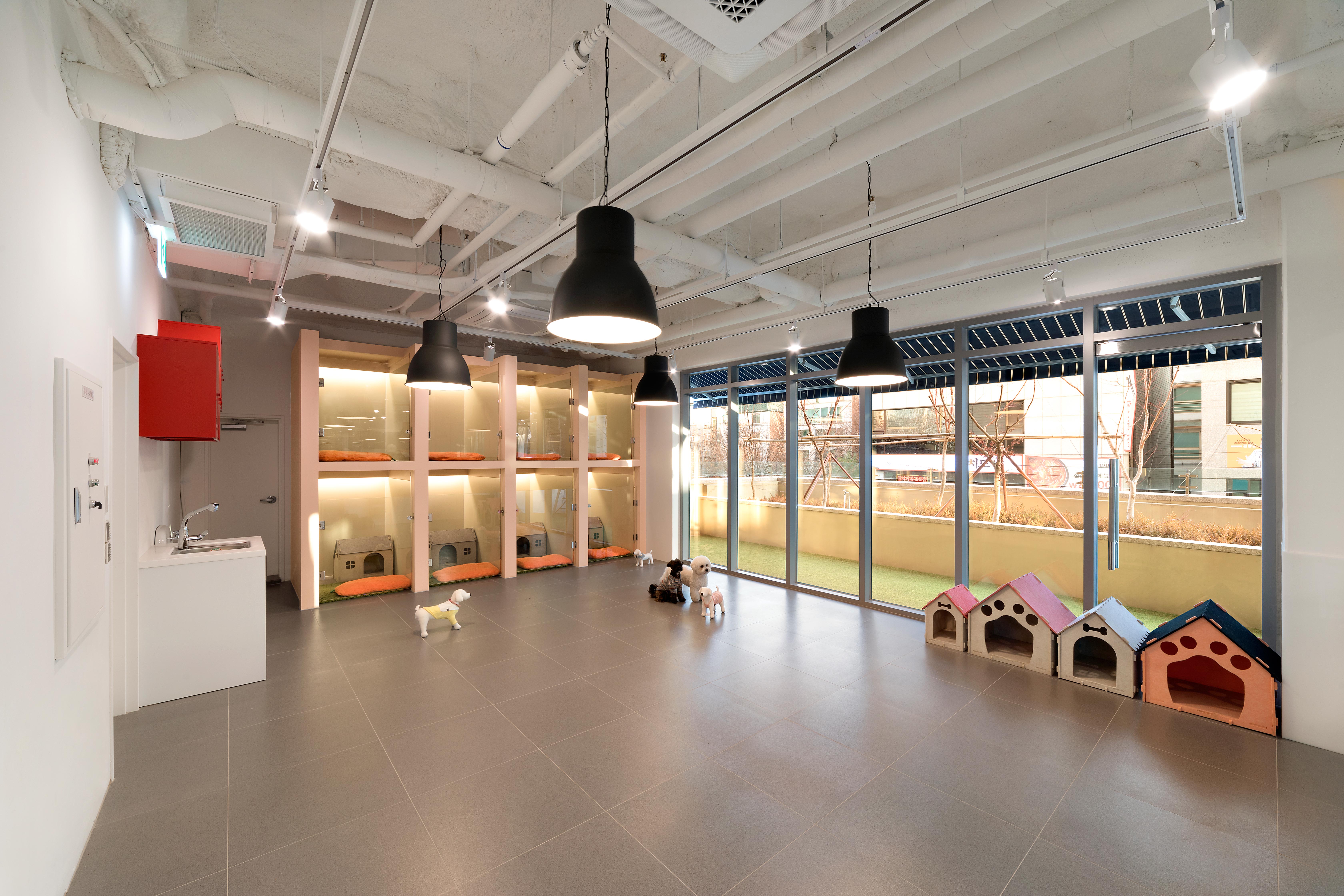 개님살롱 대표 이미지