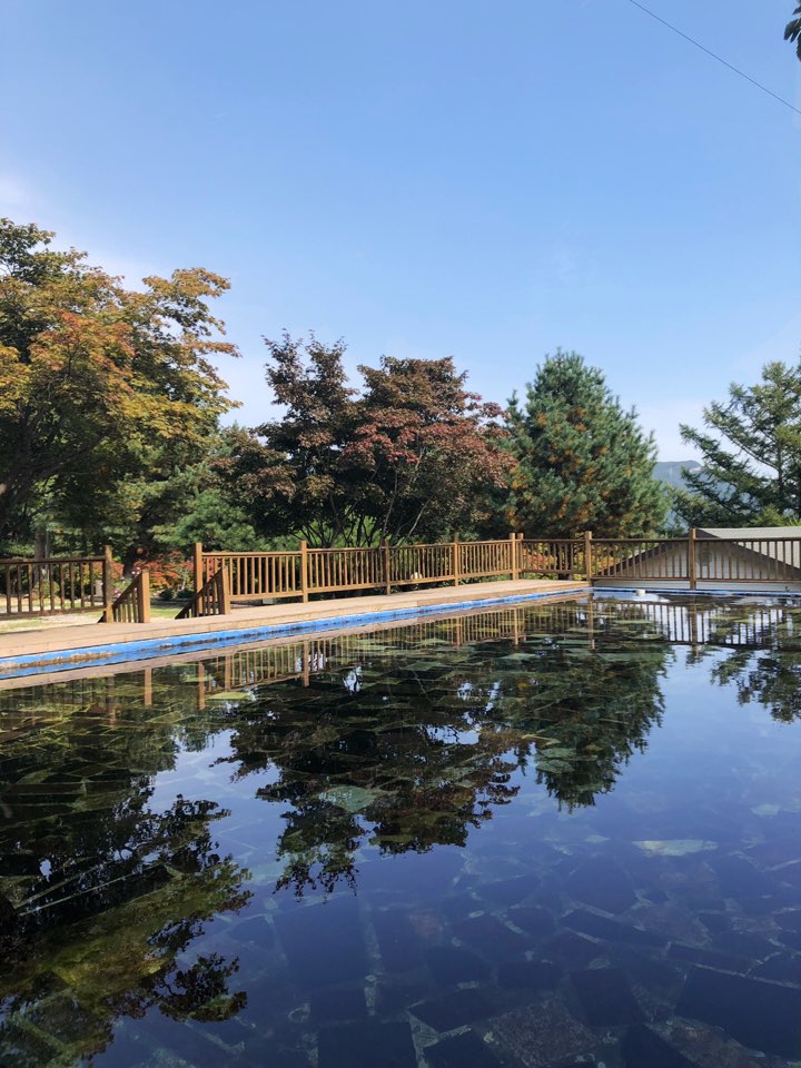 수산아카데미캠핑장 사진 1