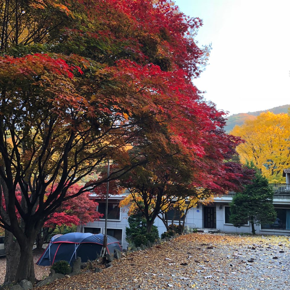 수산아카데미