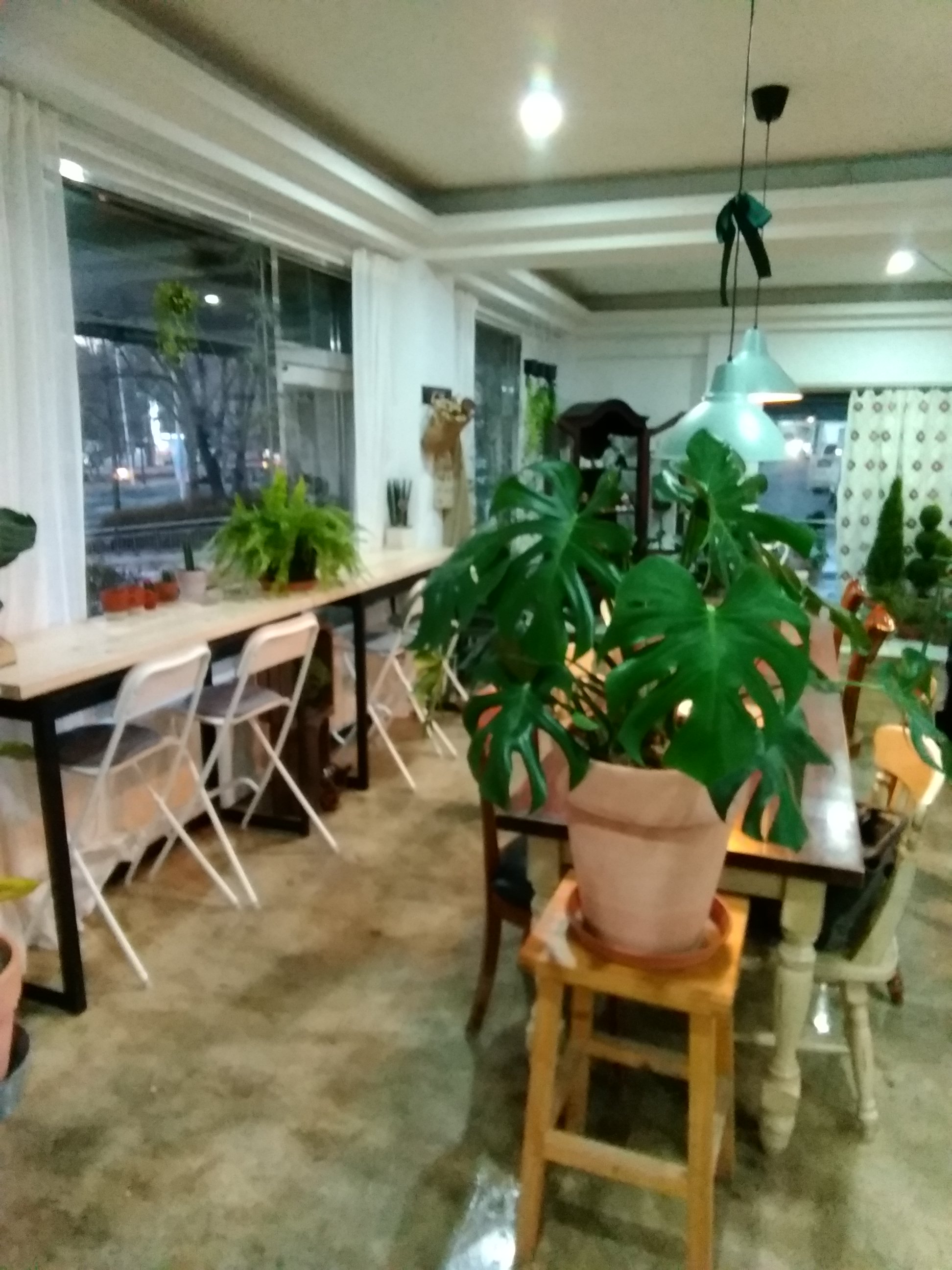 카페모키