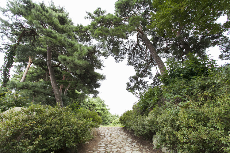 솔다박마을 체험펜션