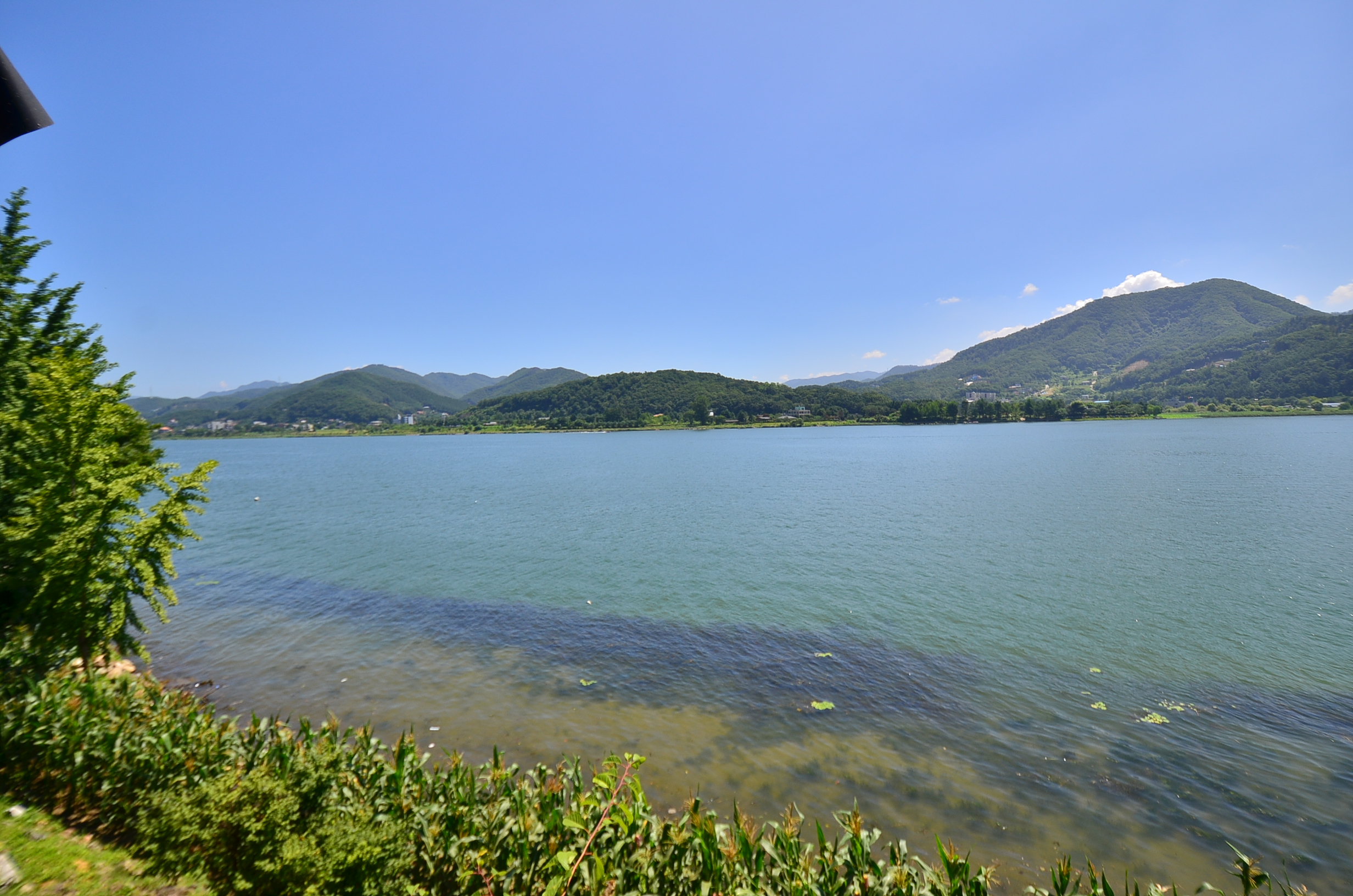 북한강 막국수 닭갈비 사진 2