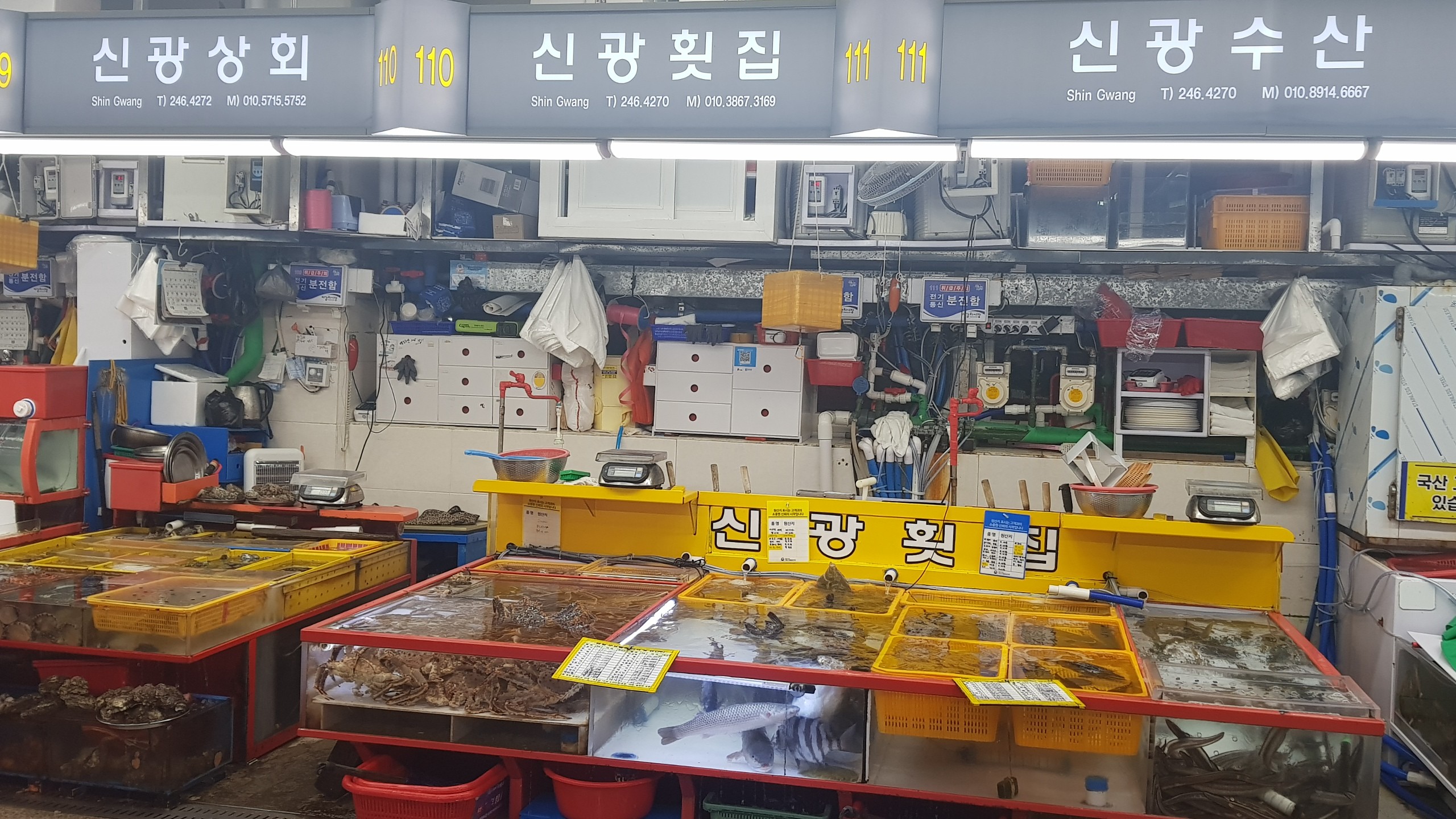 신광수산해산물