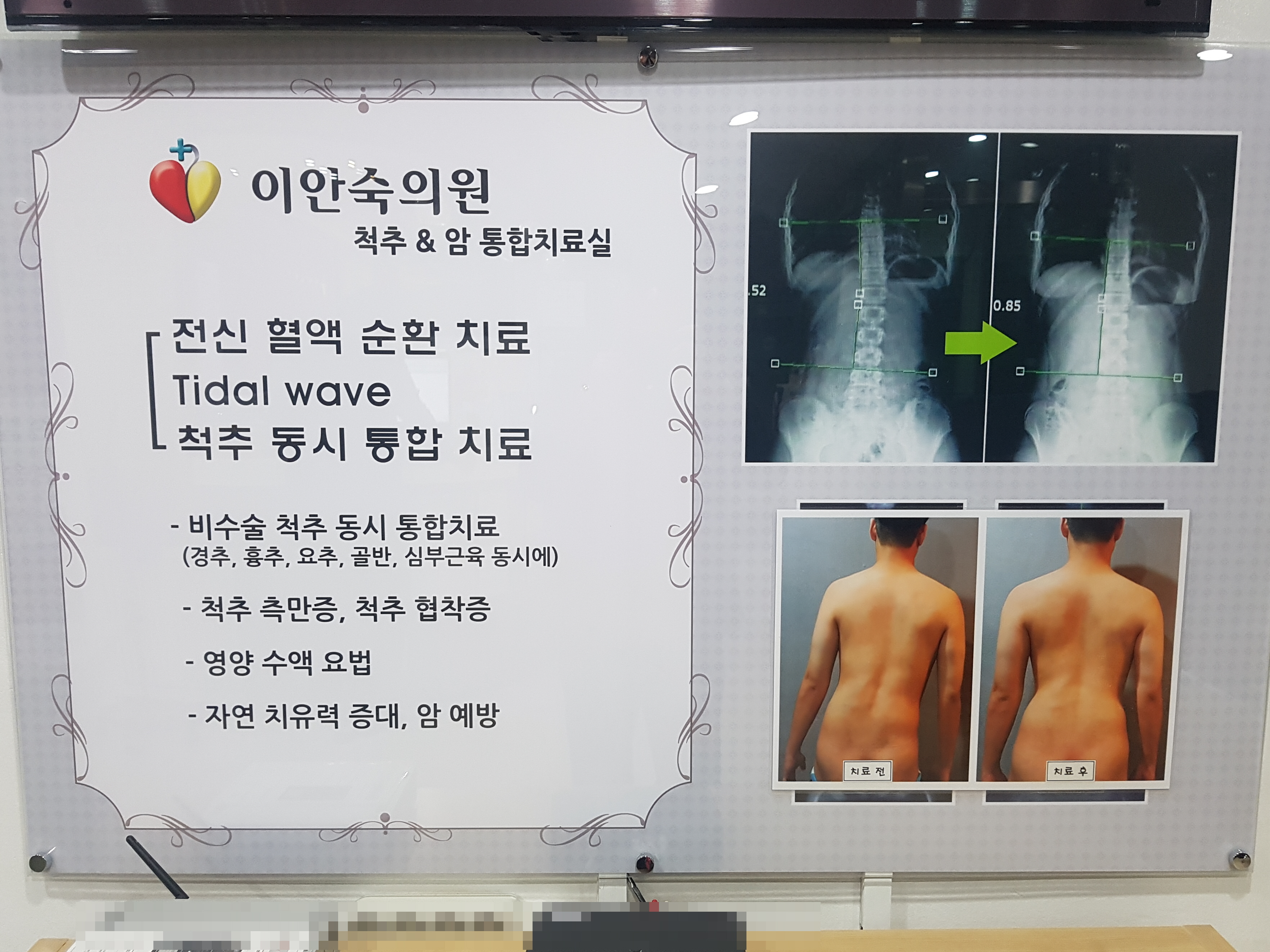 이안숙의원 대표 이미지