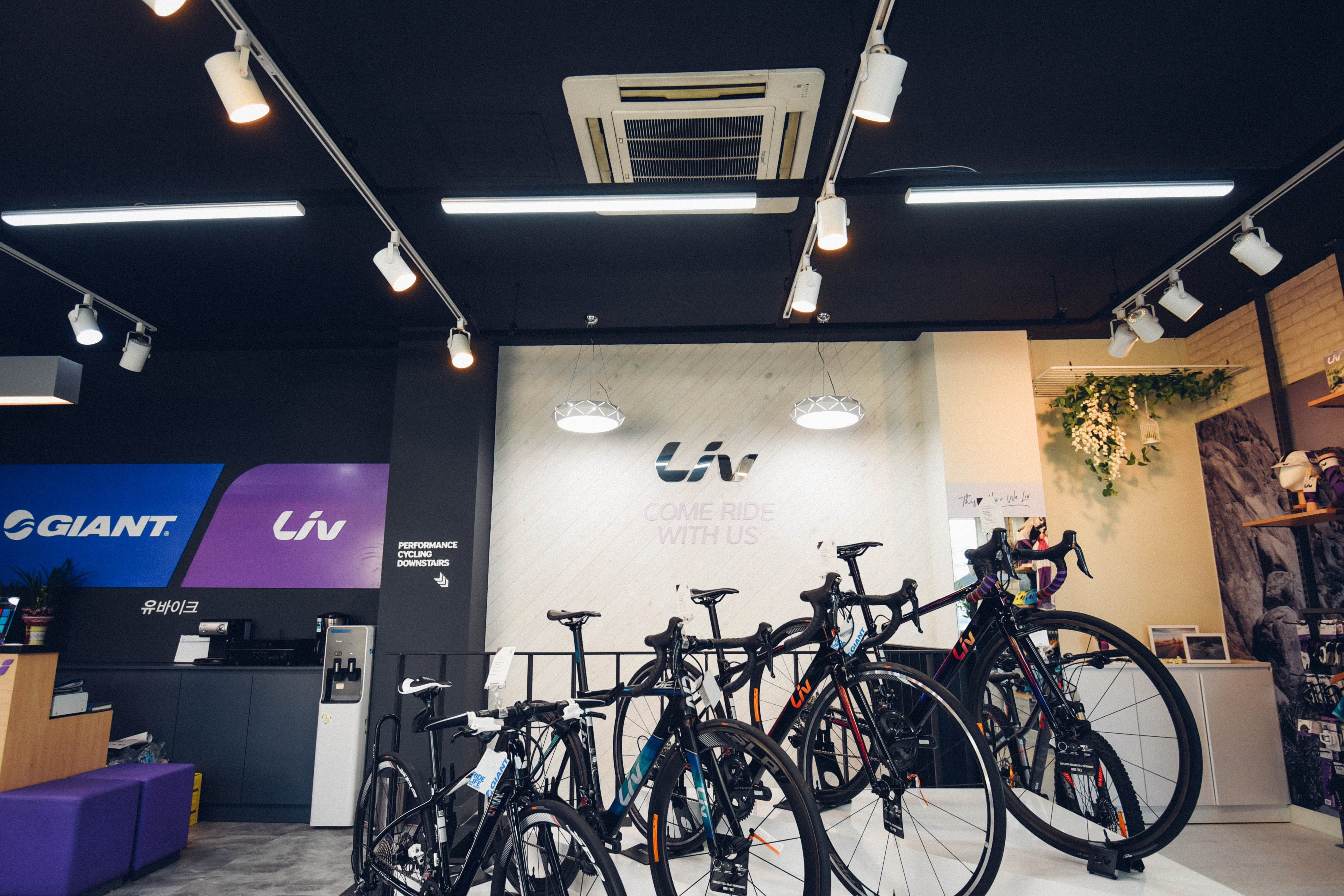 자이언트 자전거 대표 이미지