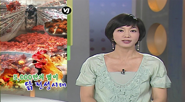 평택폐계닭