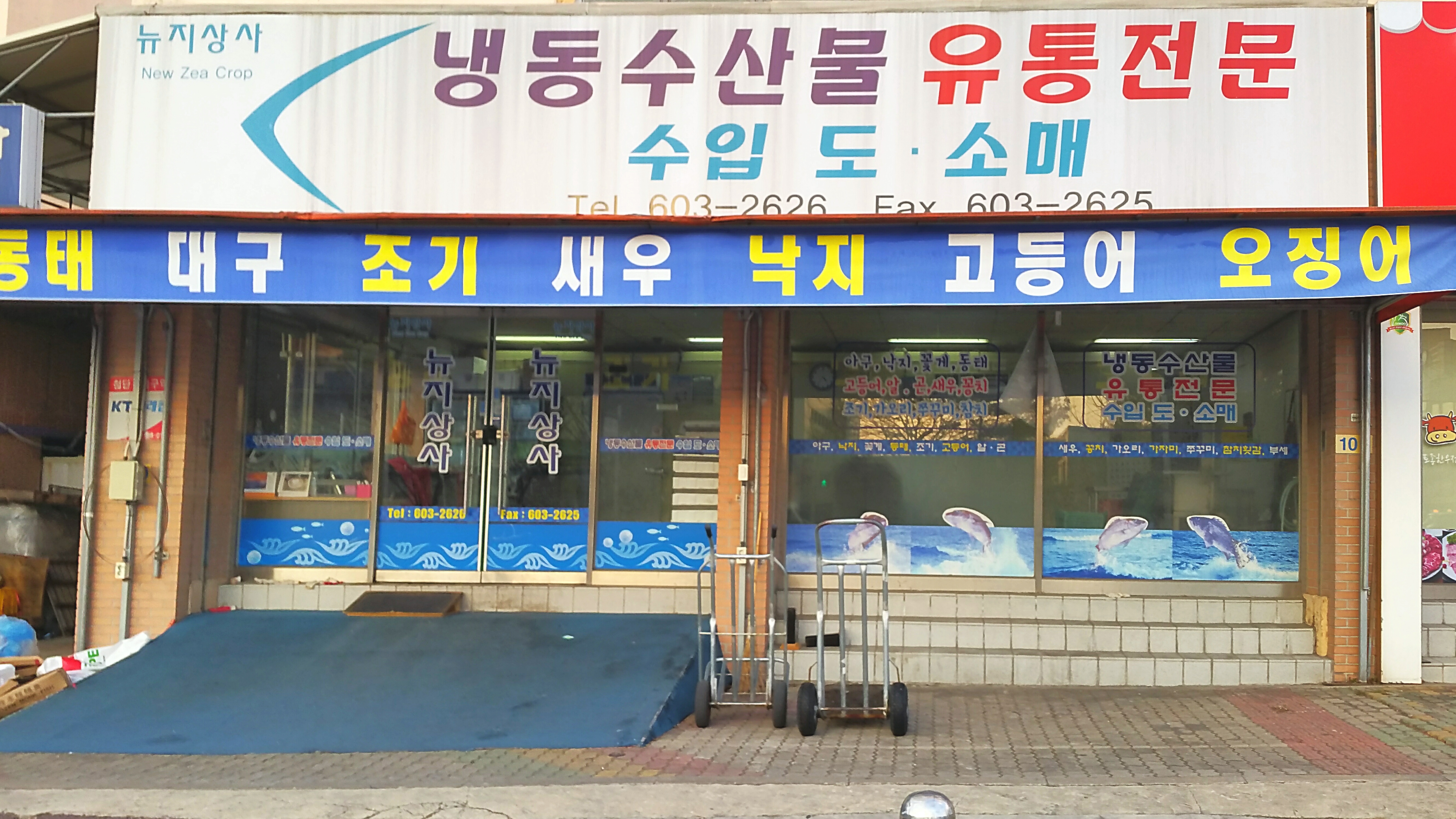 뉴지상사