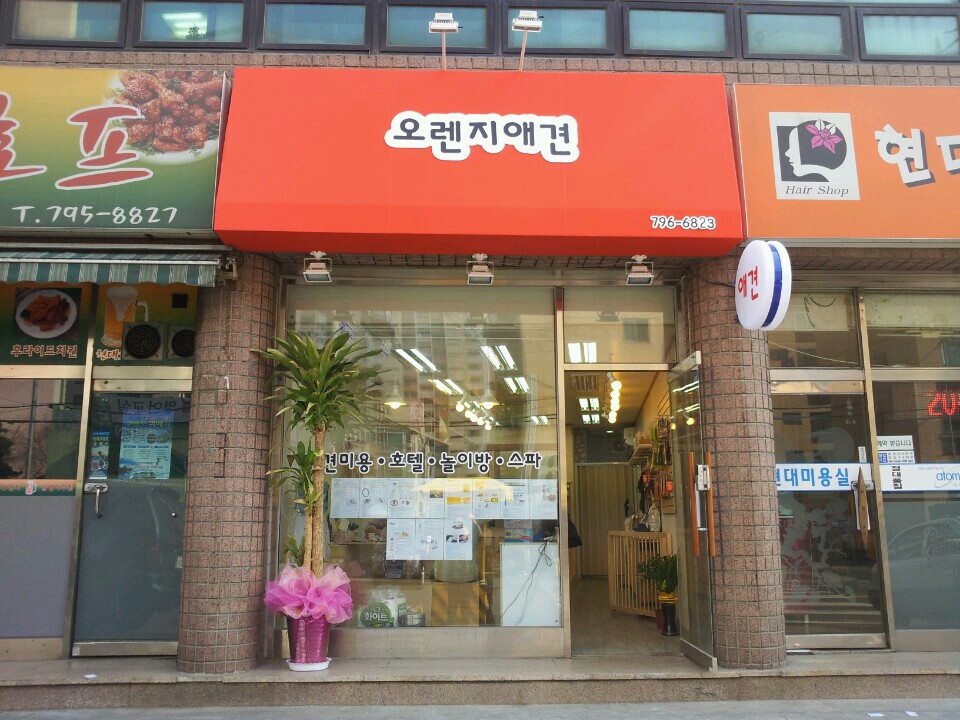 오렌지애견 내부 또는 관련 모습