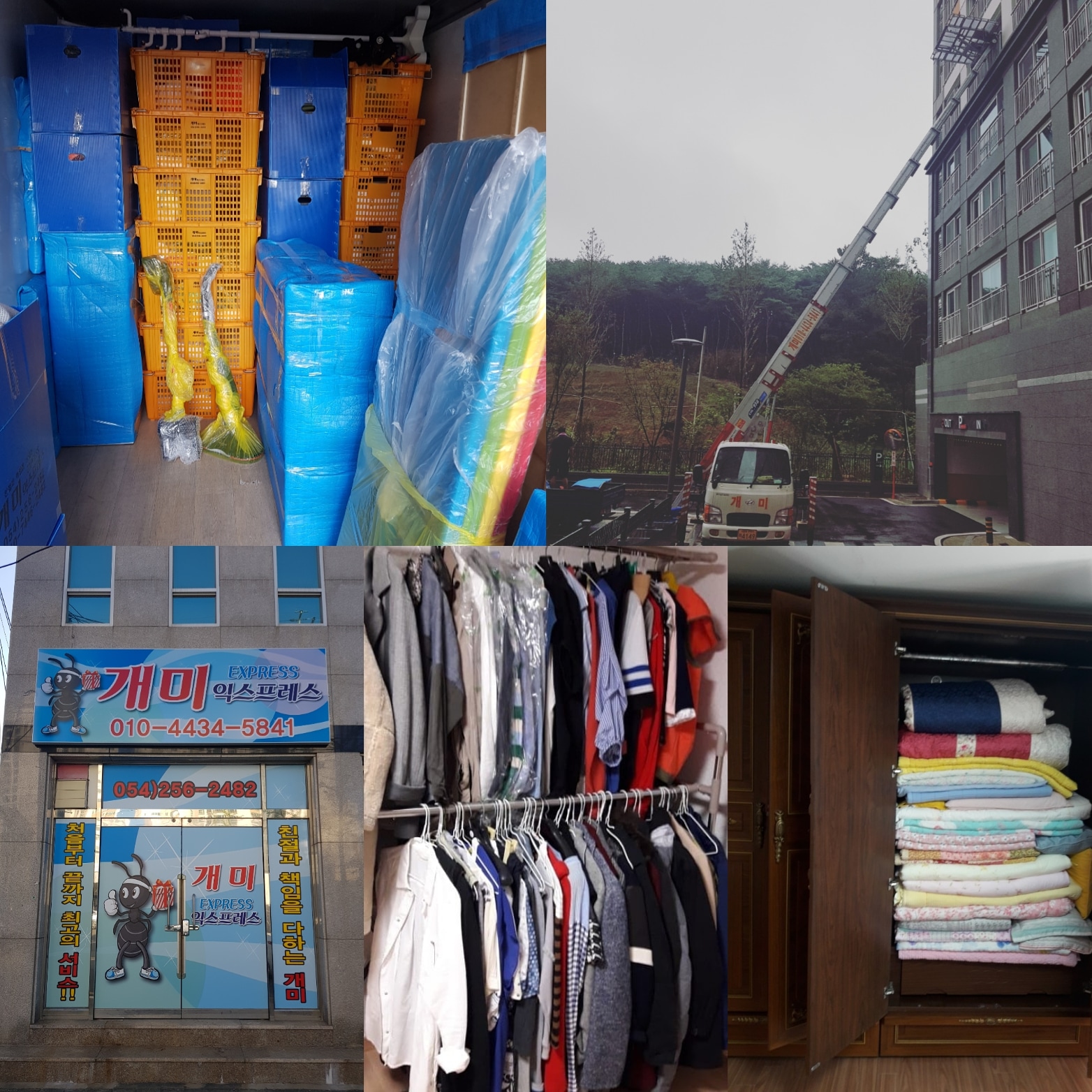 개미이사