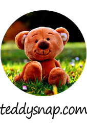 테디스냅