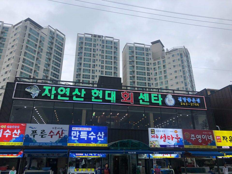 자연산현대회센타
