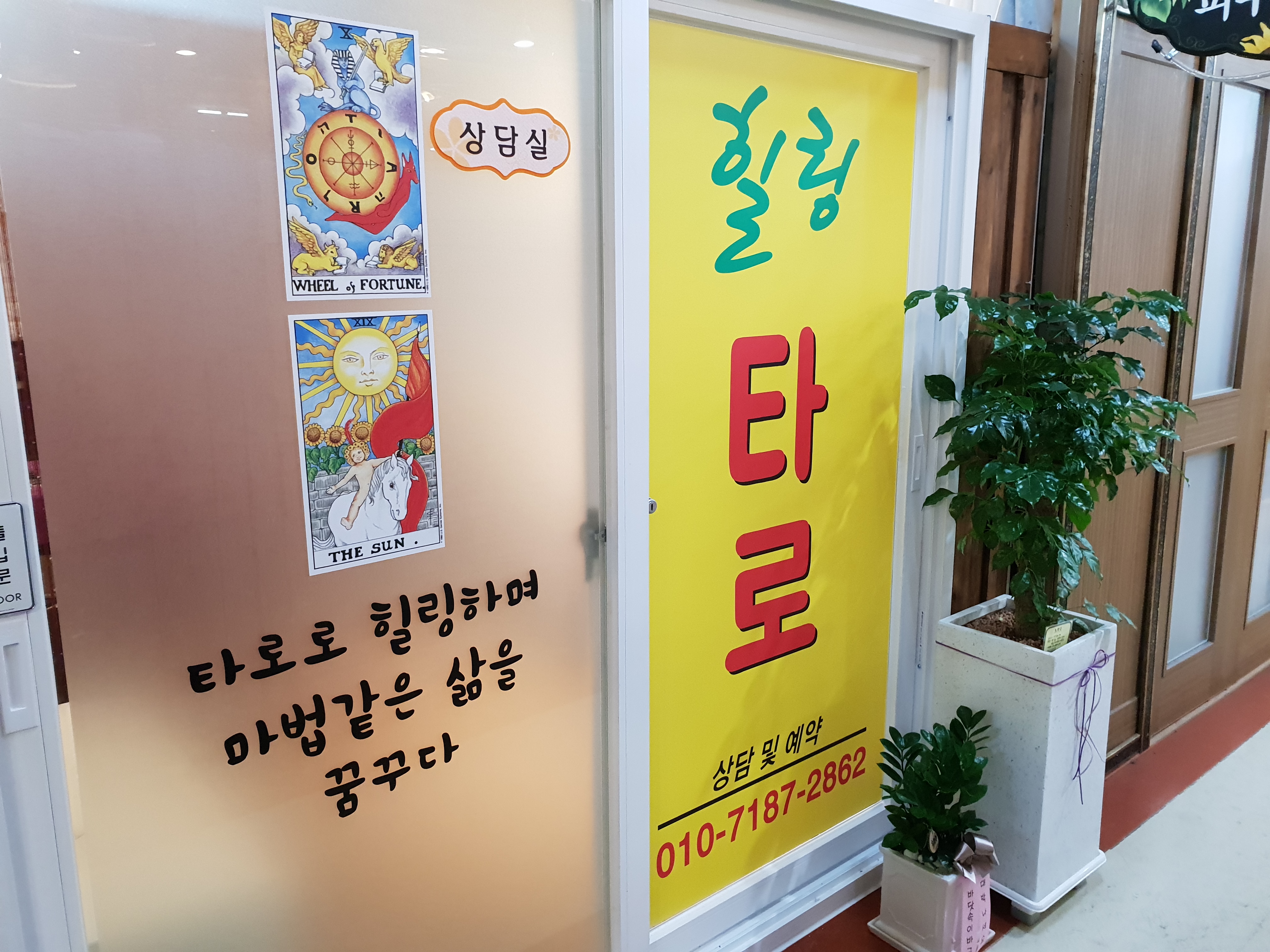 힐링 타로