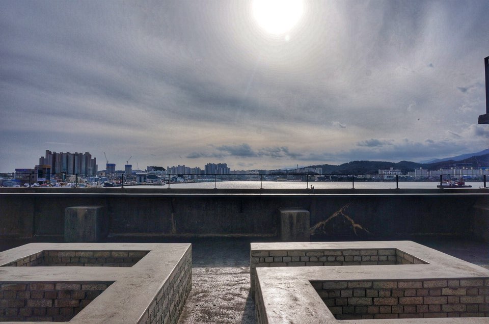 브릭스블럭482 강원 애견맛집