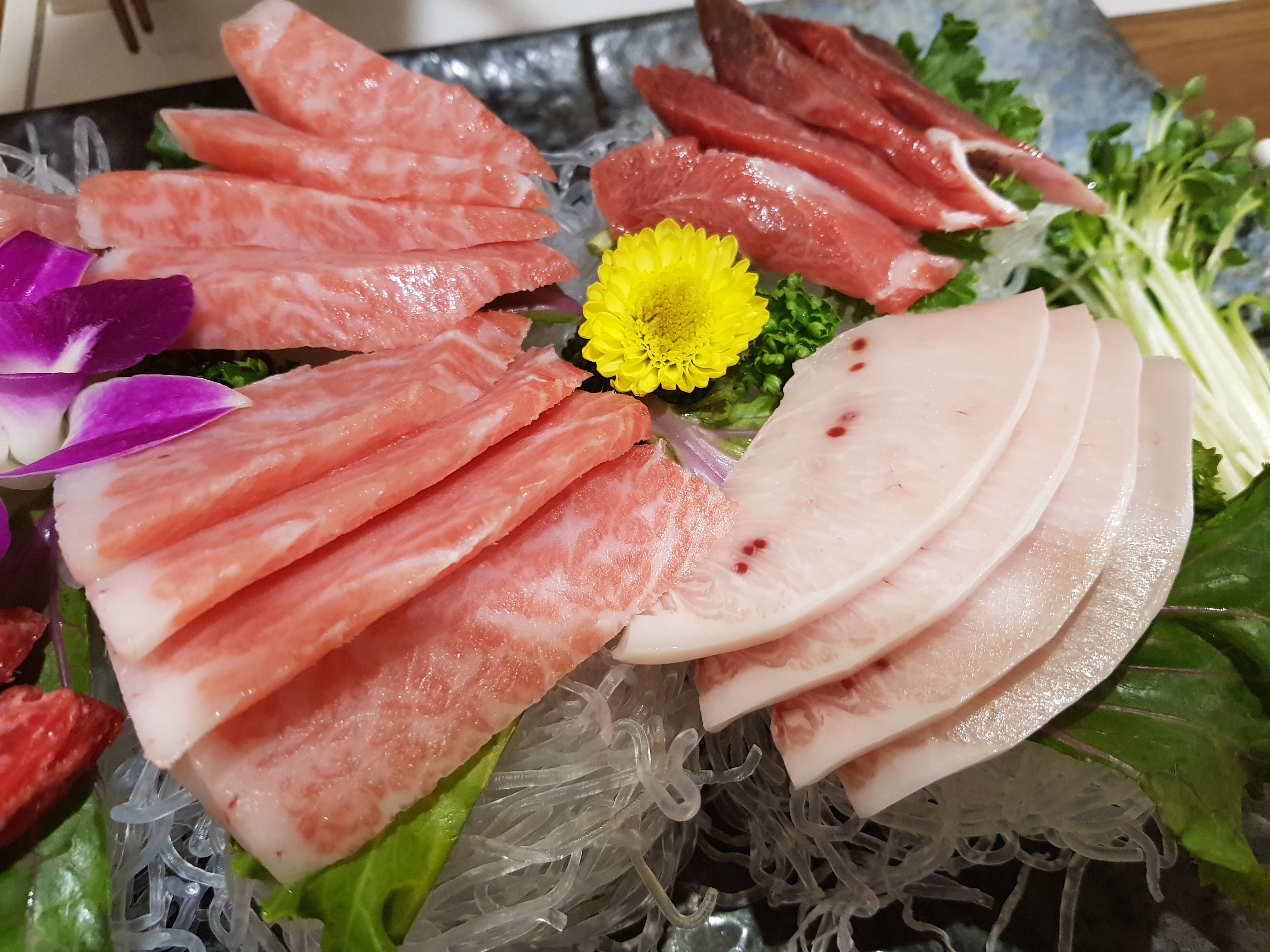 홍진참치