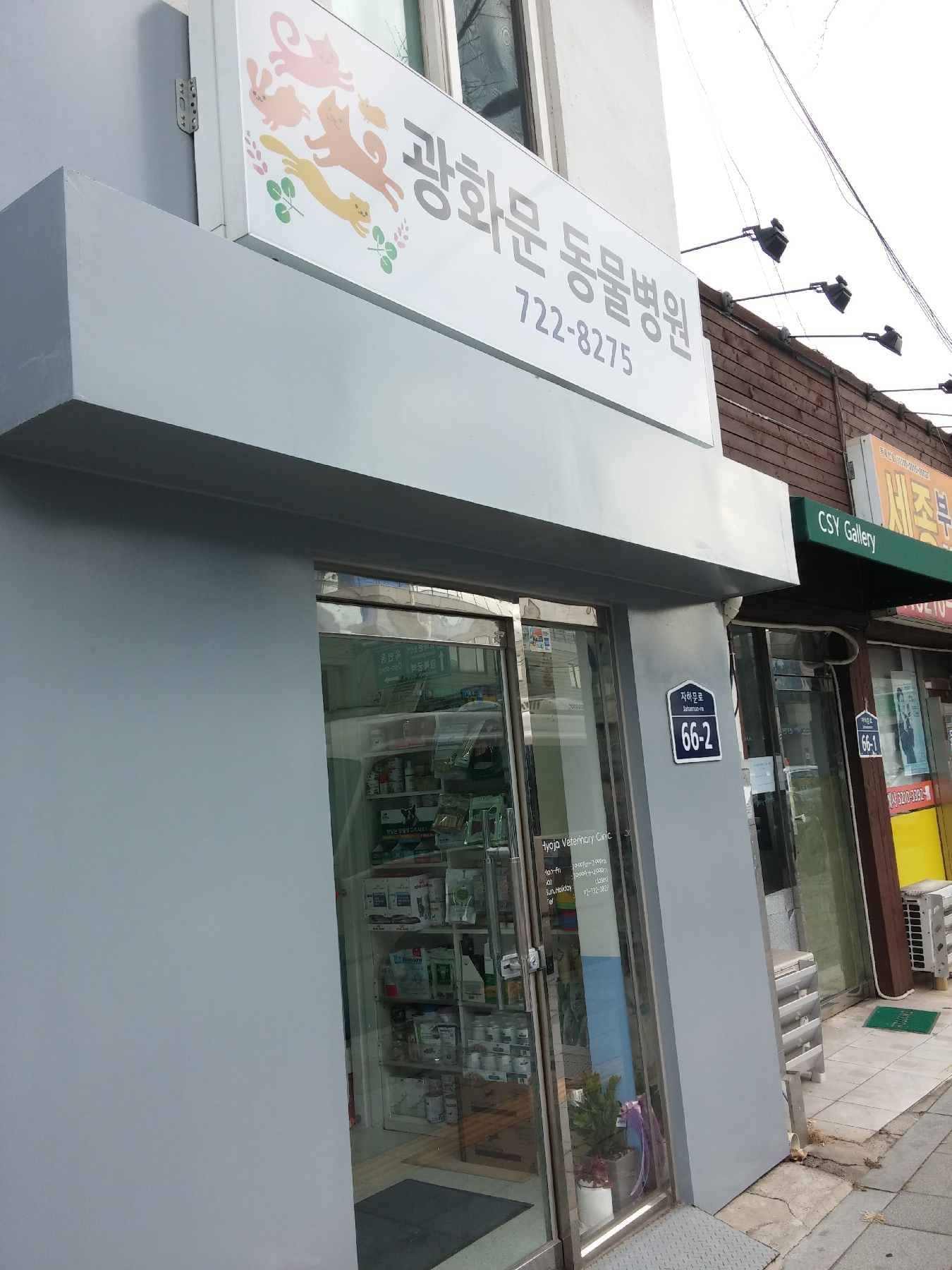 광화문동물병원 대표 이미지