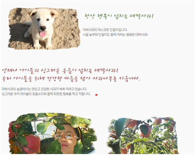 대박사과농원