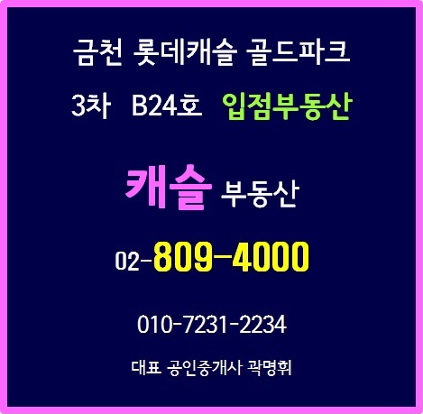 캐슬단지내부동산공인중개사사무소