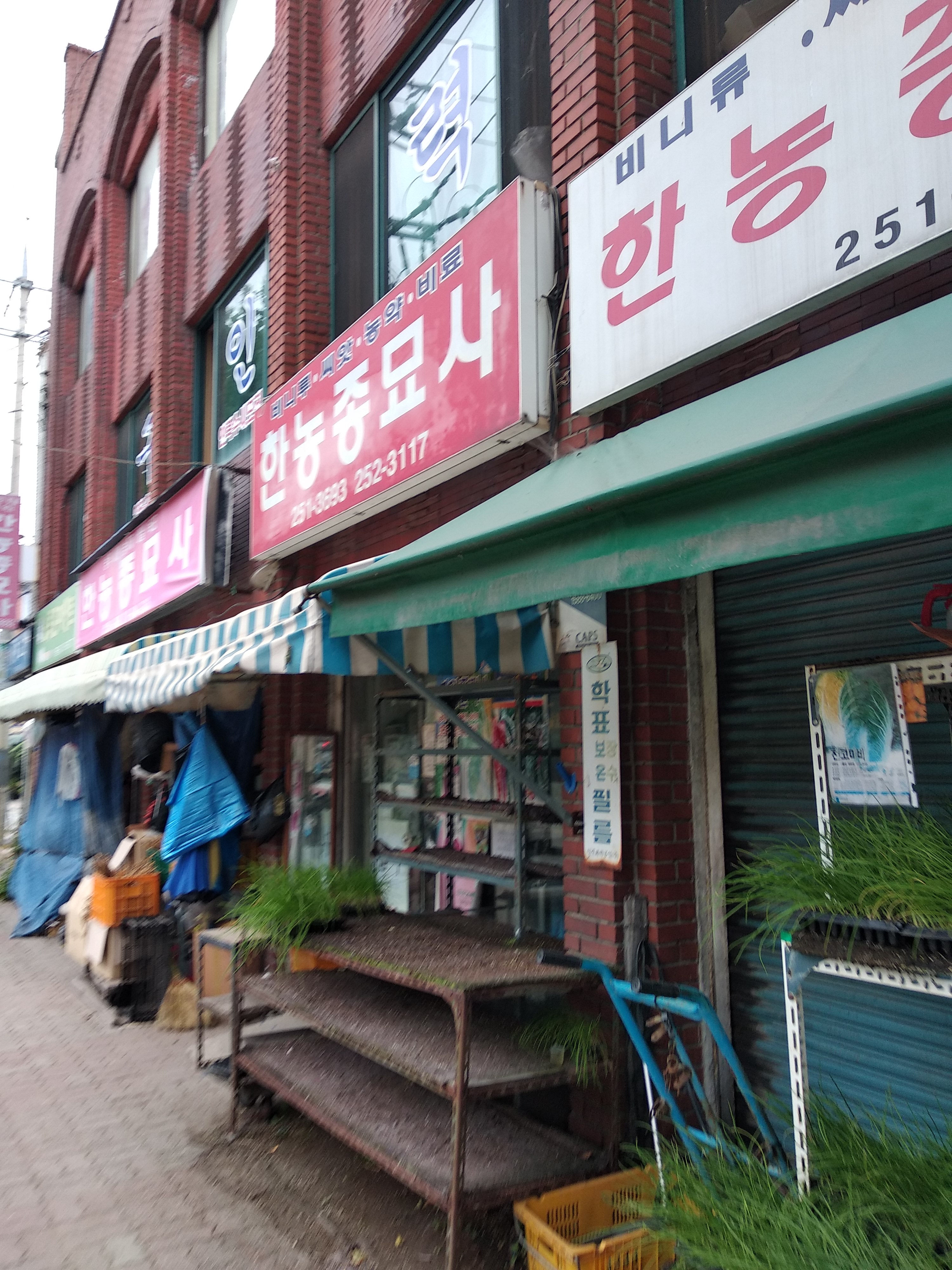한농종묘사