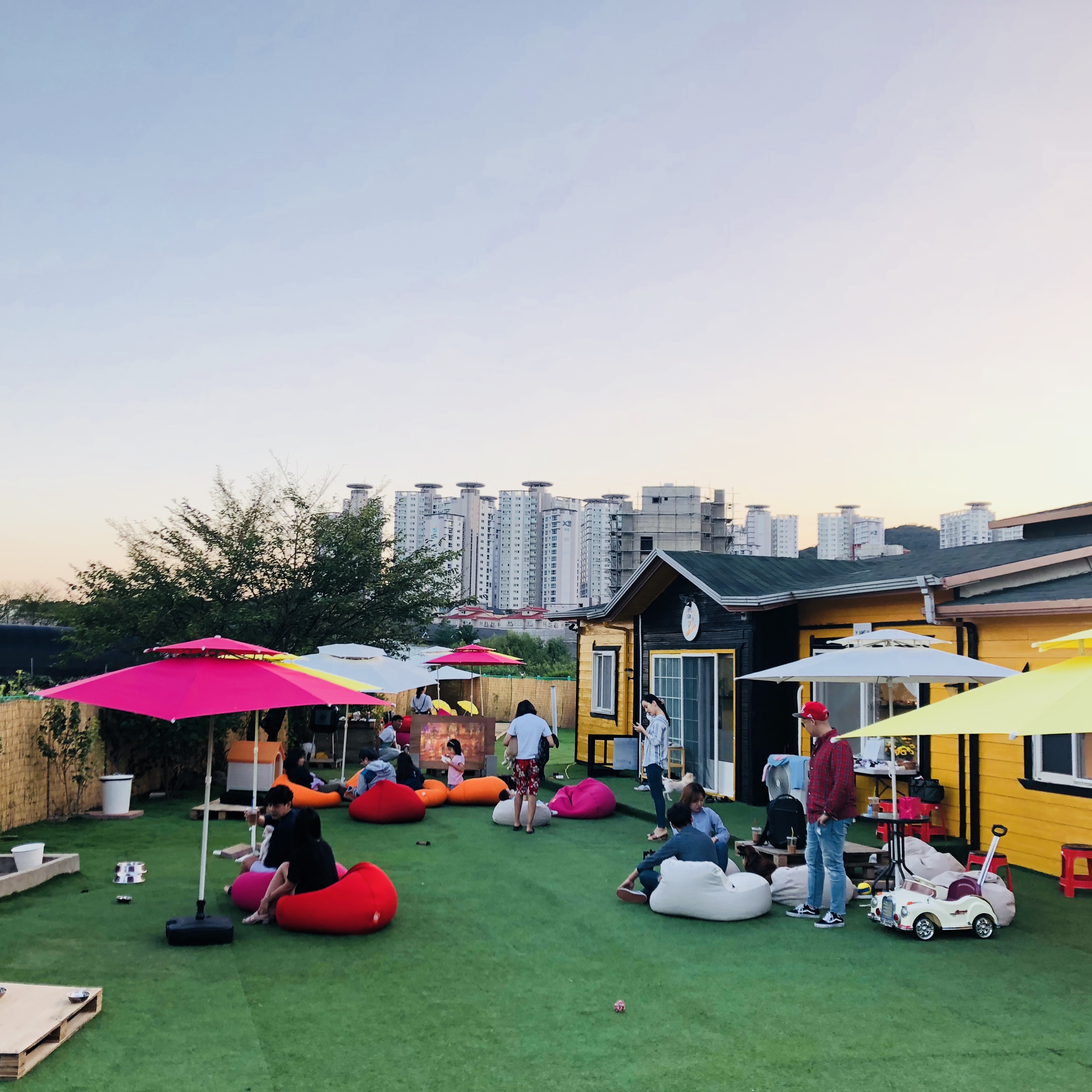 놀개나개 대표 이미지