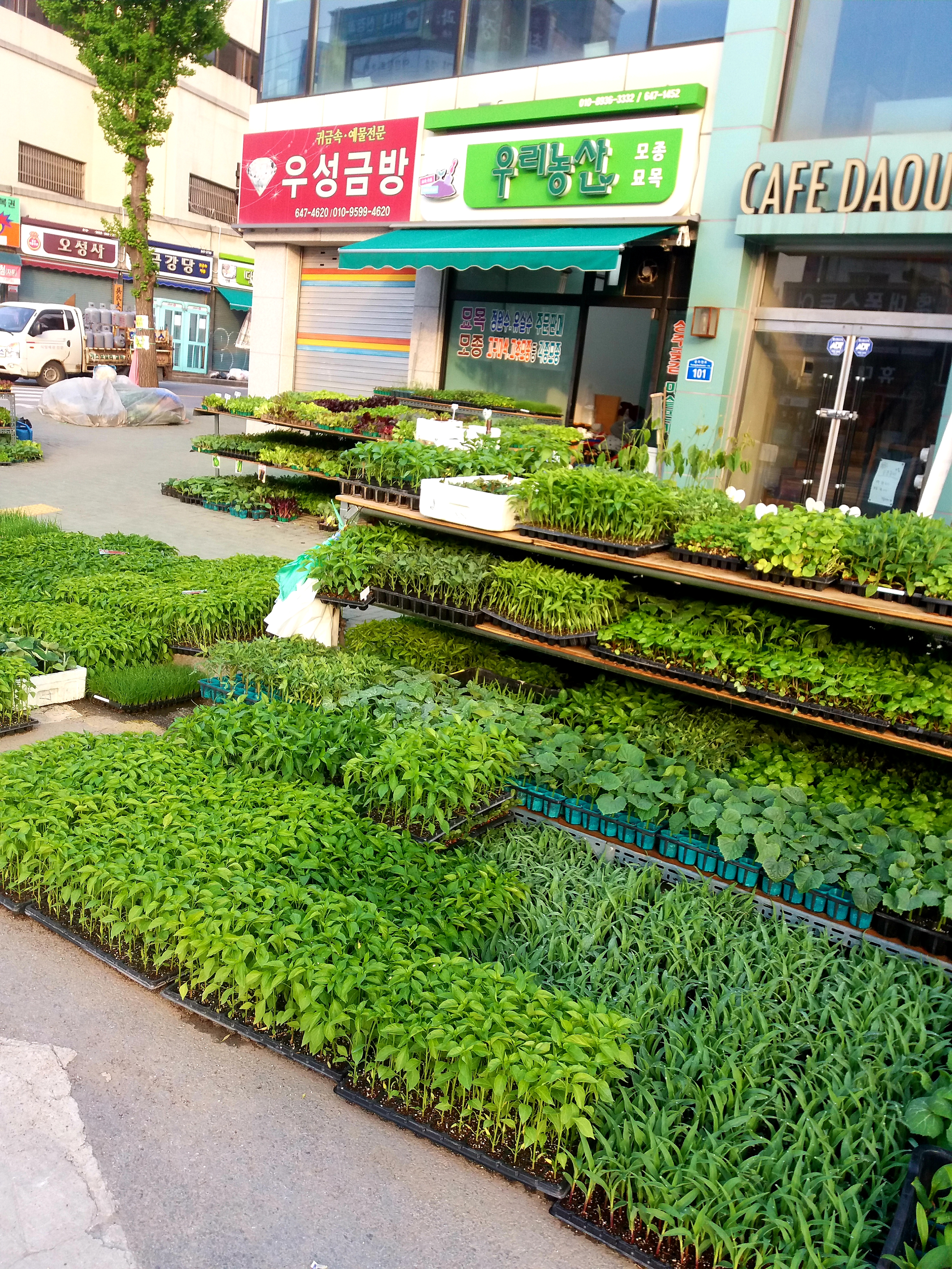 우리농산