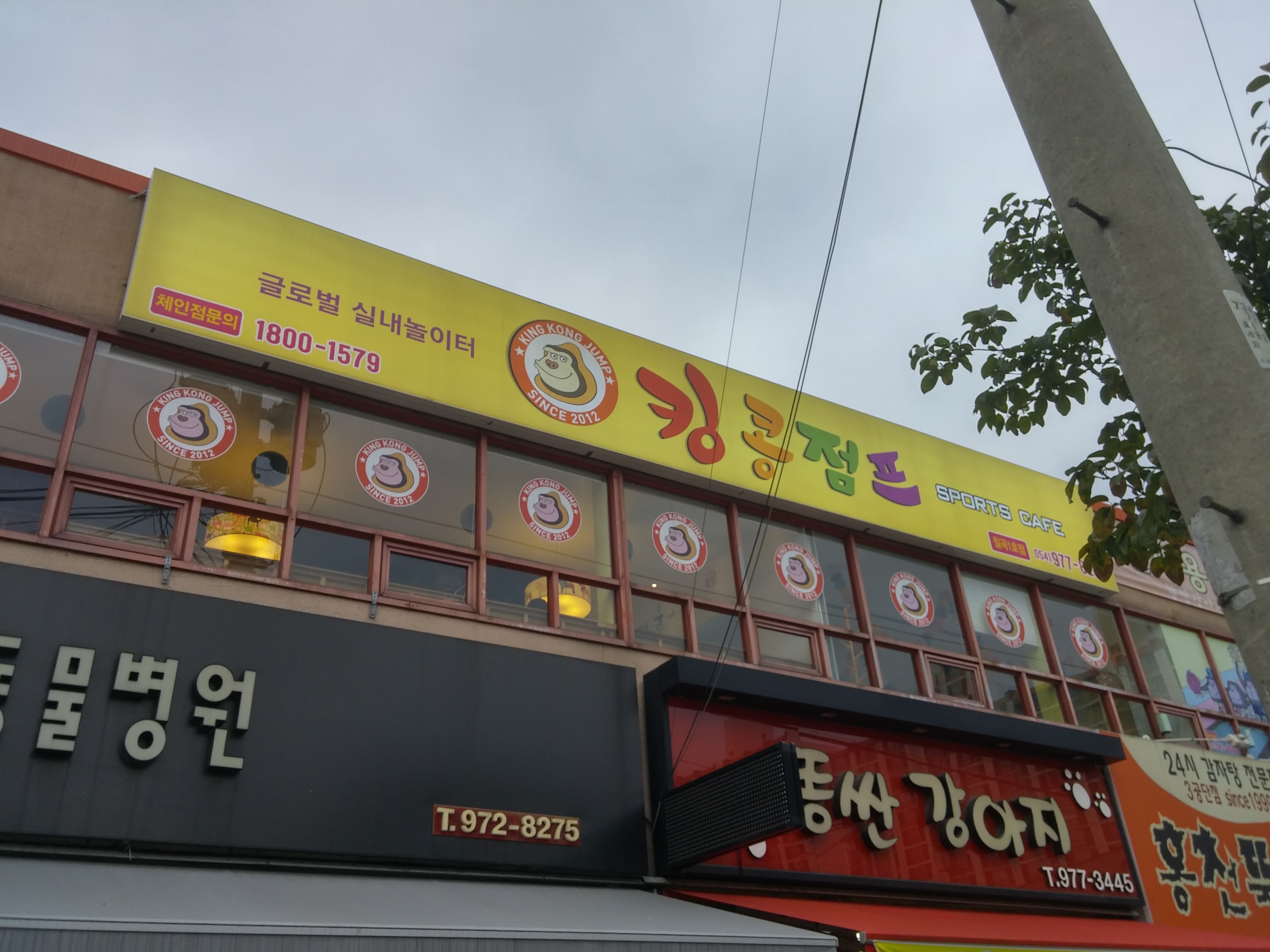 킹콩점프 칠곡1호점