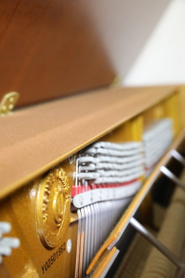 1번째 스튜디오 사진