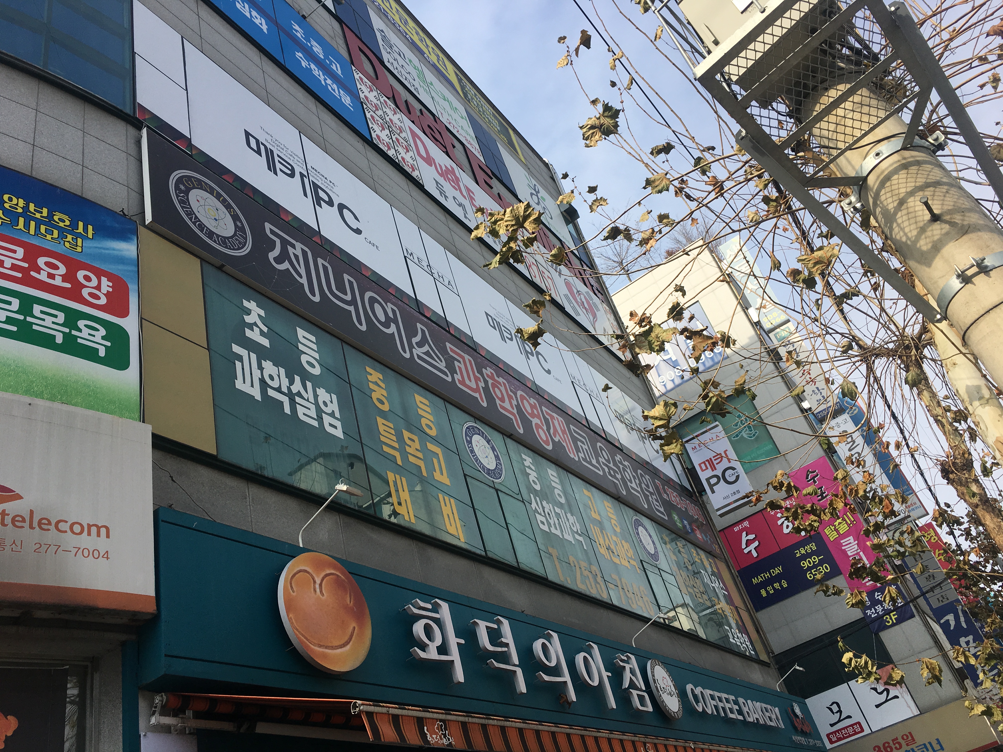 지니어스과학영재교육학원
