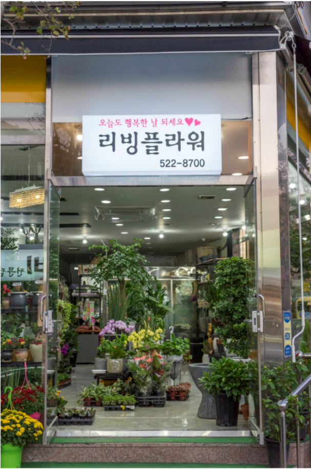 리빙플라워