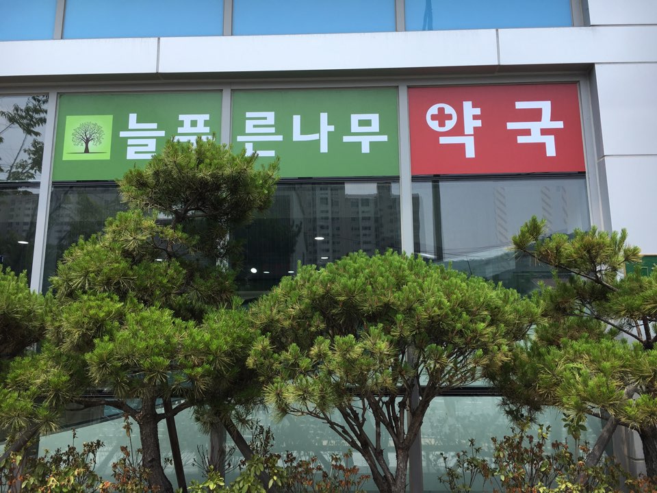 늘푸른나무약국