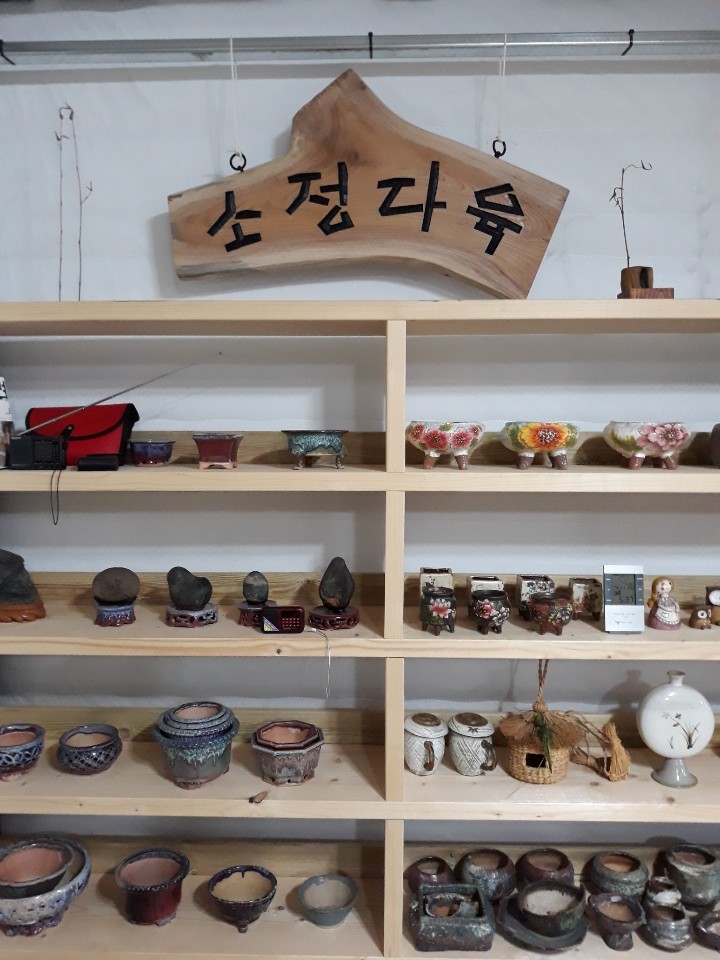소정다육