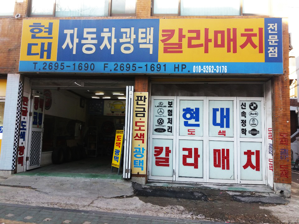 현대덴트칼라