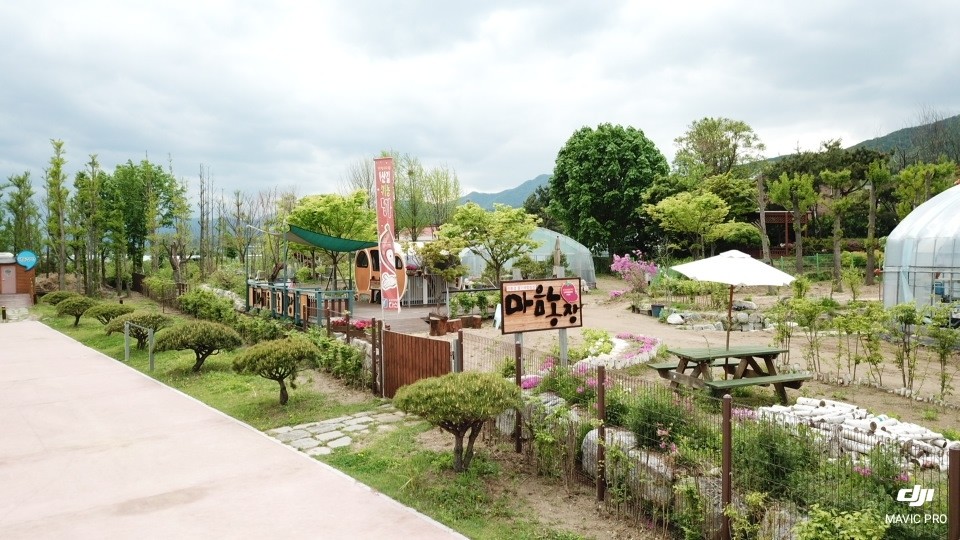 마음농장위드스테이 경기 애견숙소