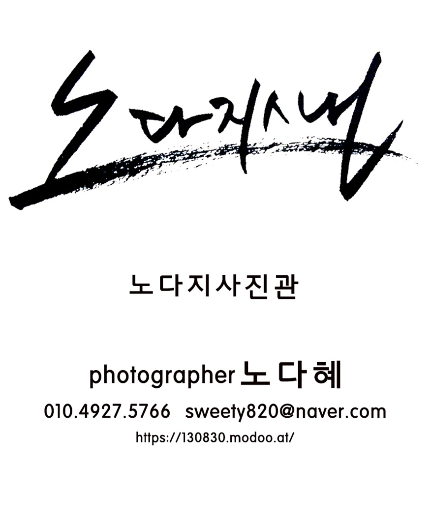 노다지스냅