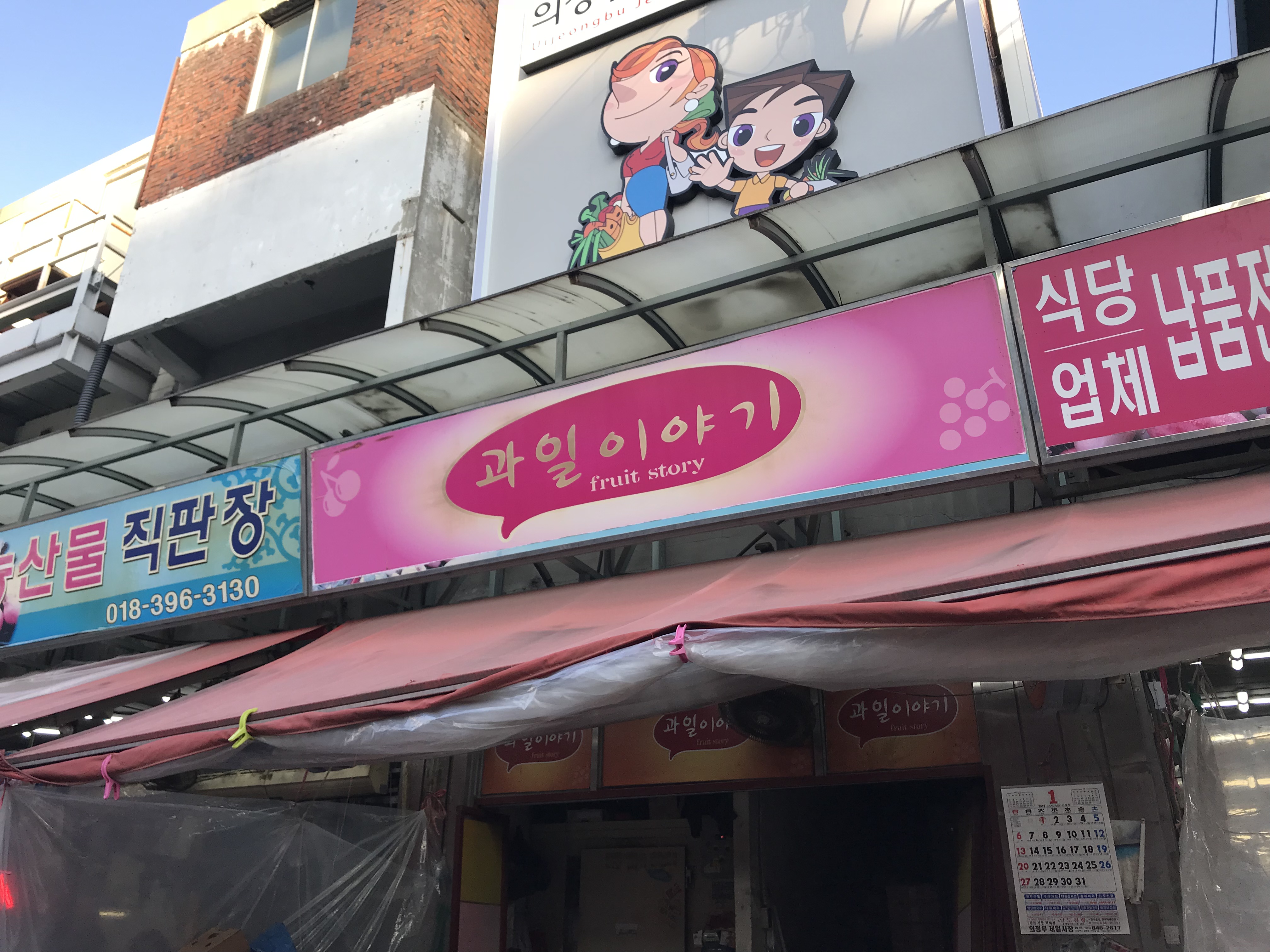 과일이야기