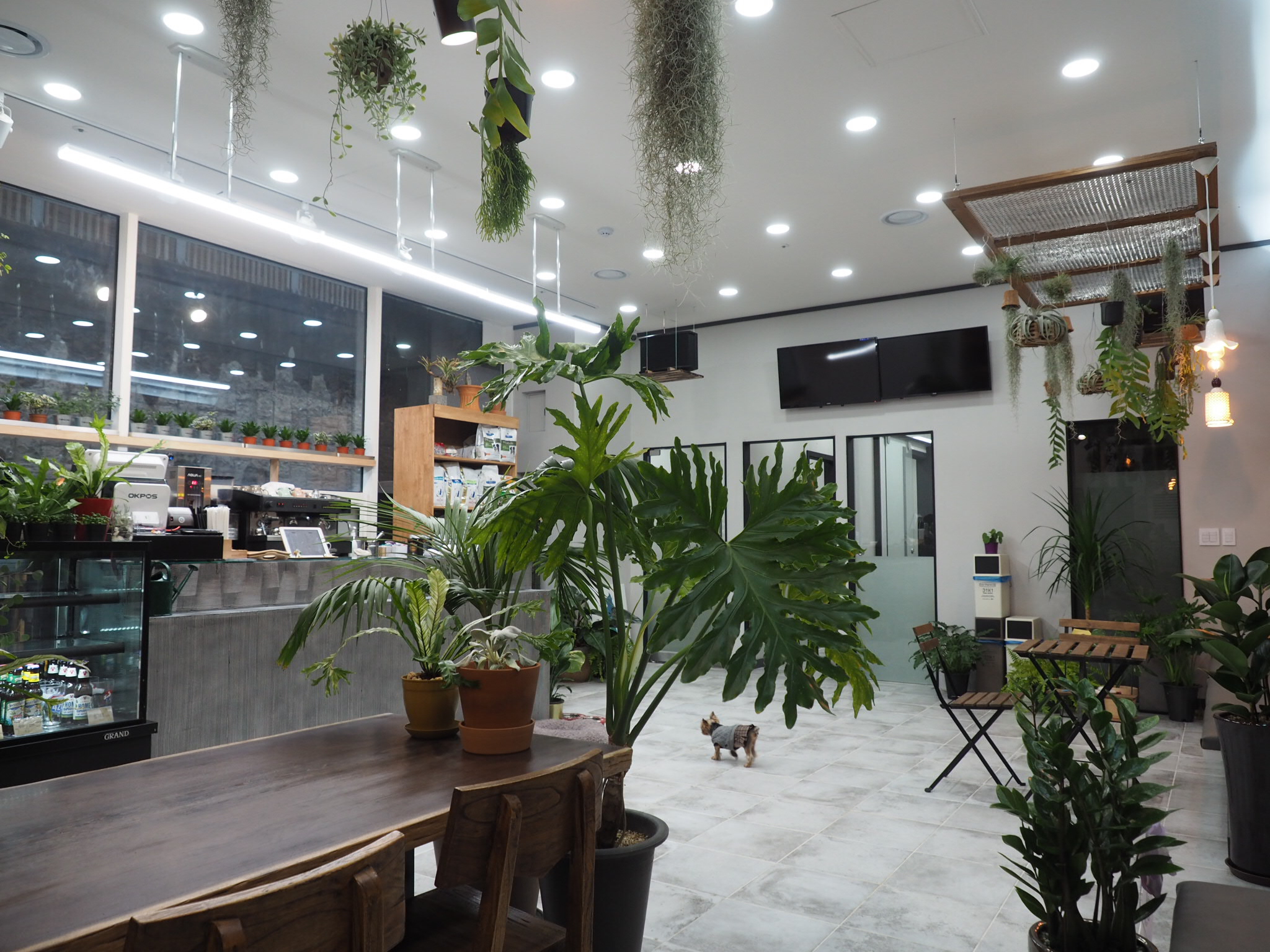 콩닥동물의료센터 이미지