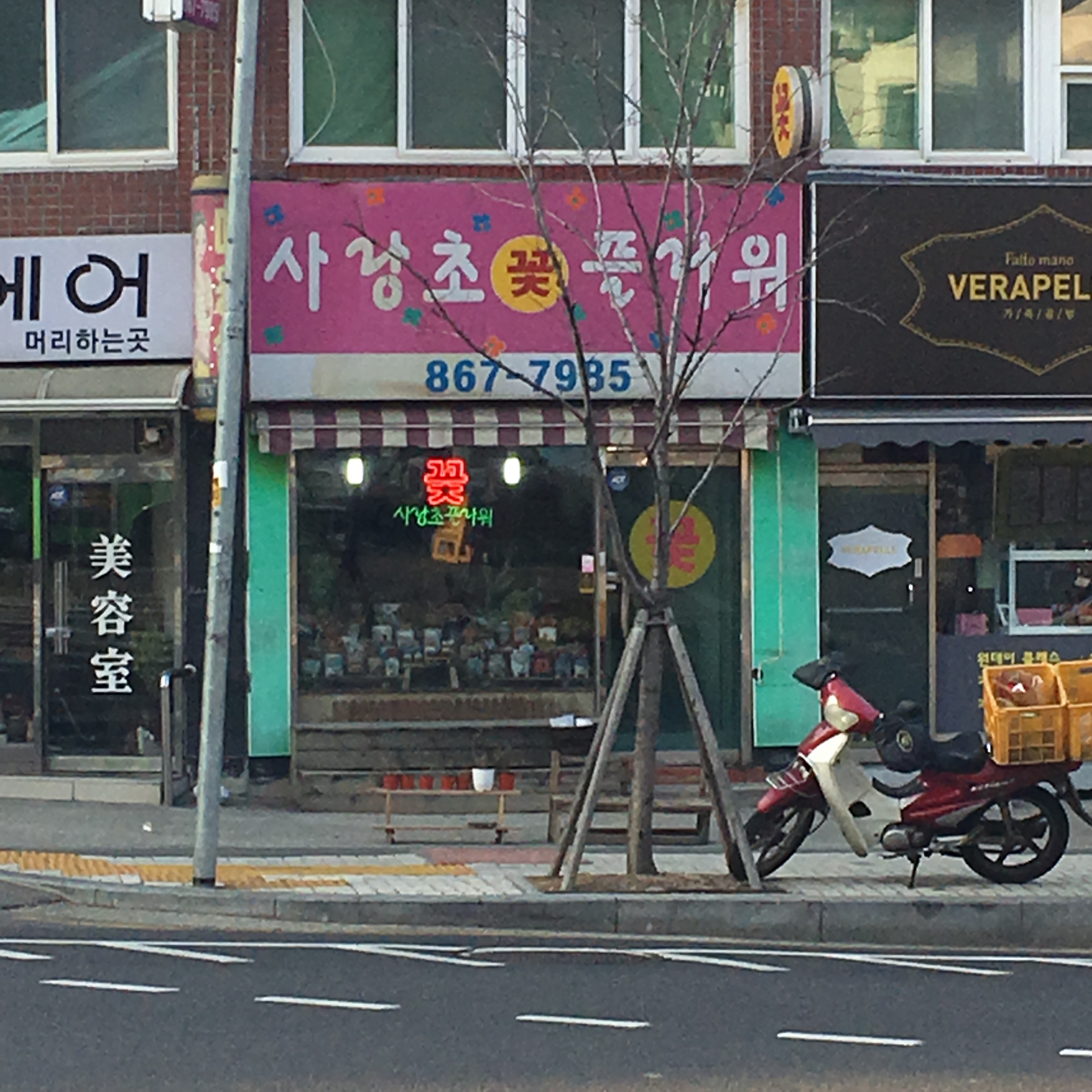 사랑초꽃플라워