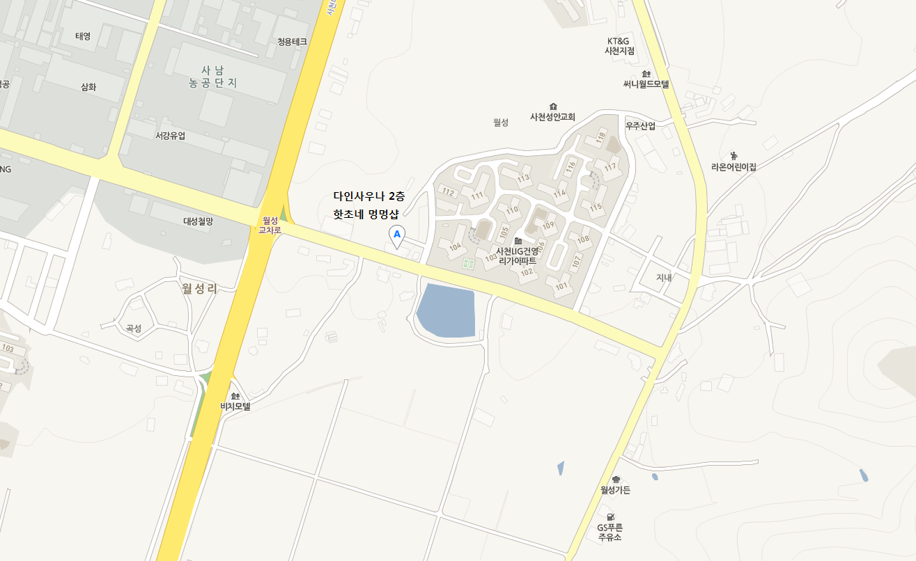 핫초네 멍멍샵 대표 이미지
