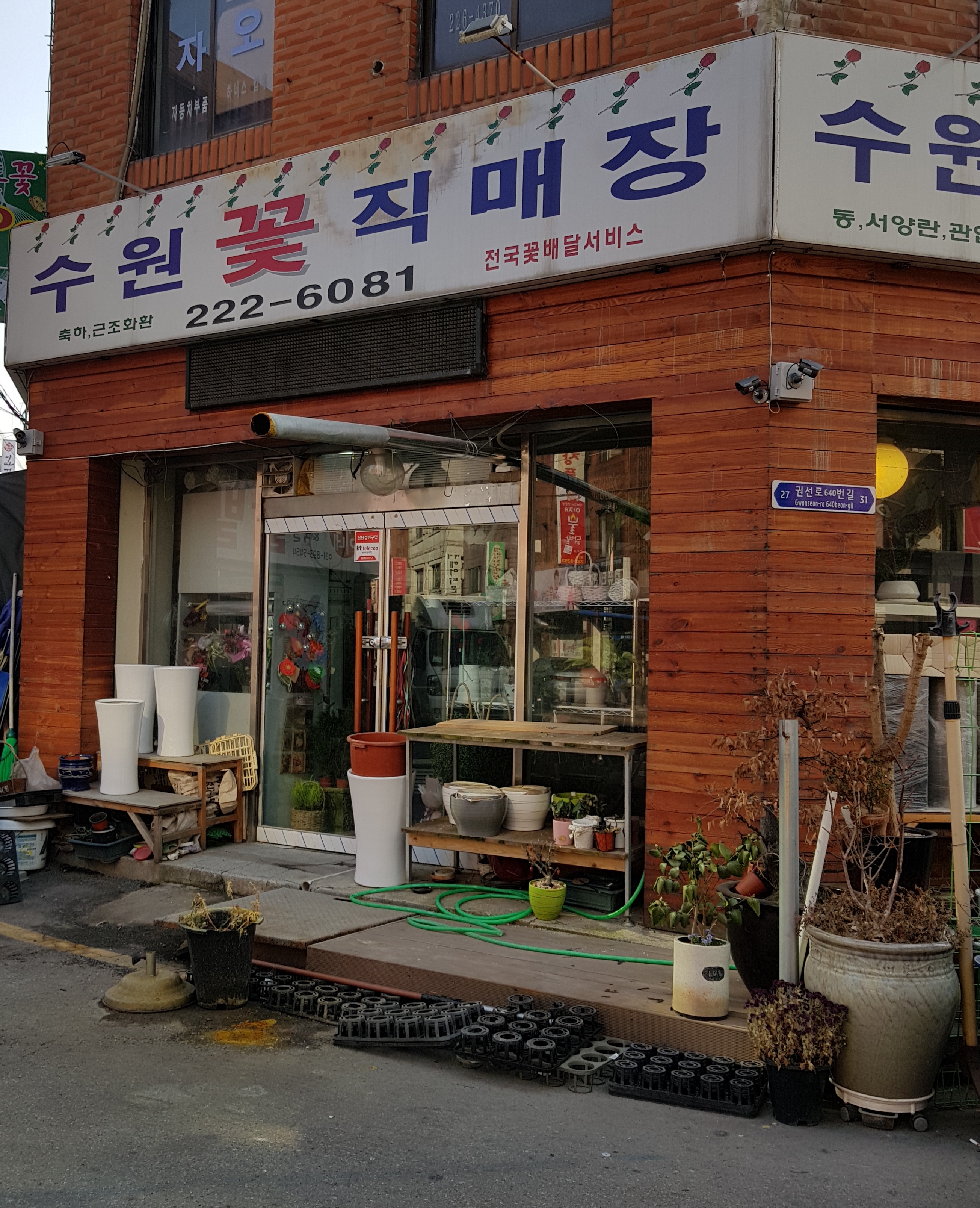 수원꽃직매장