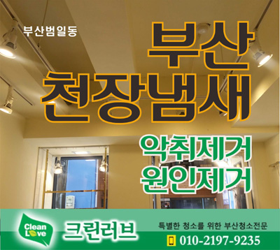 크린러브 대표 이미지