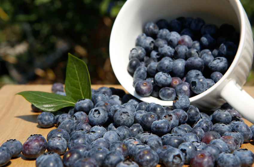 전남 담양군 마트 4