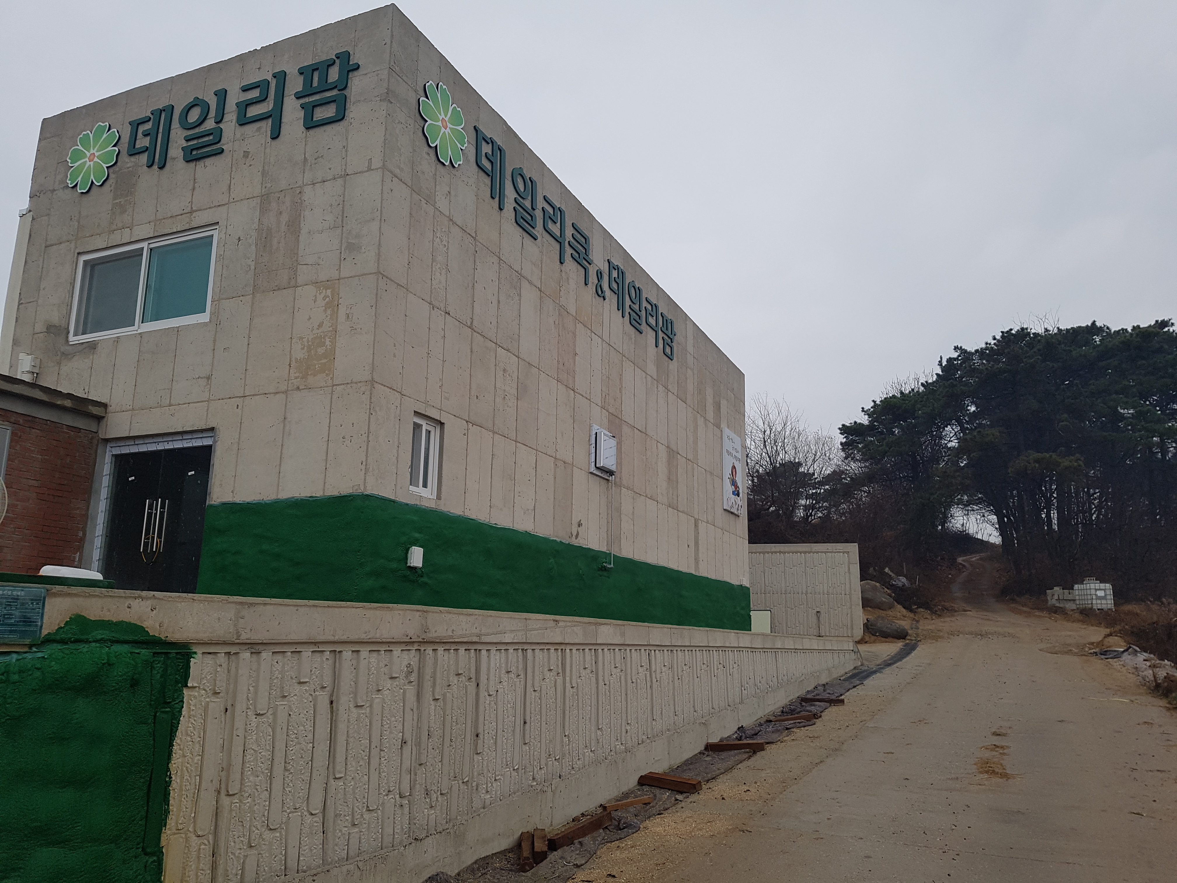 데일리쿡