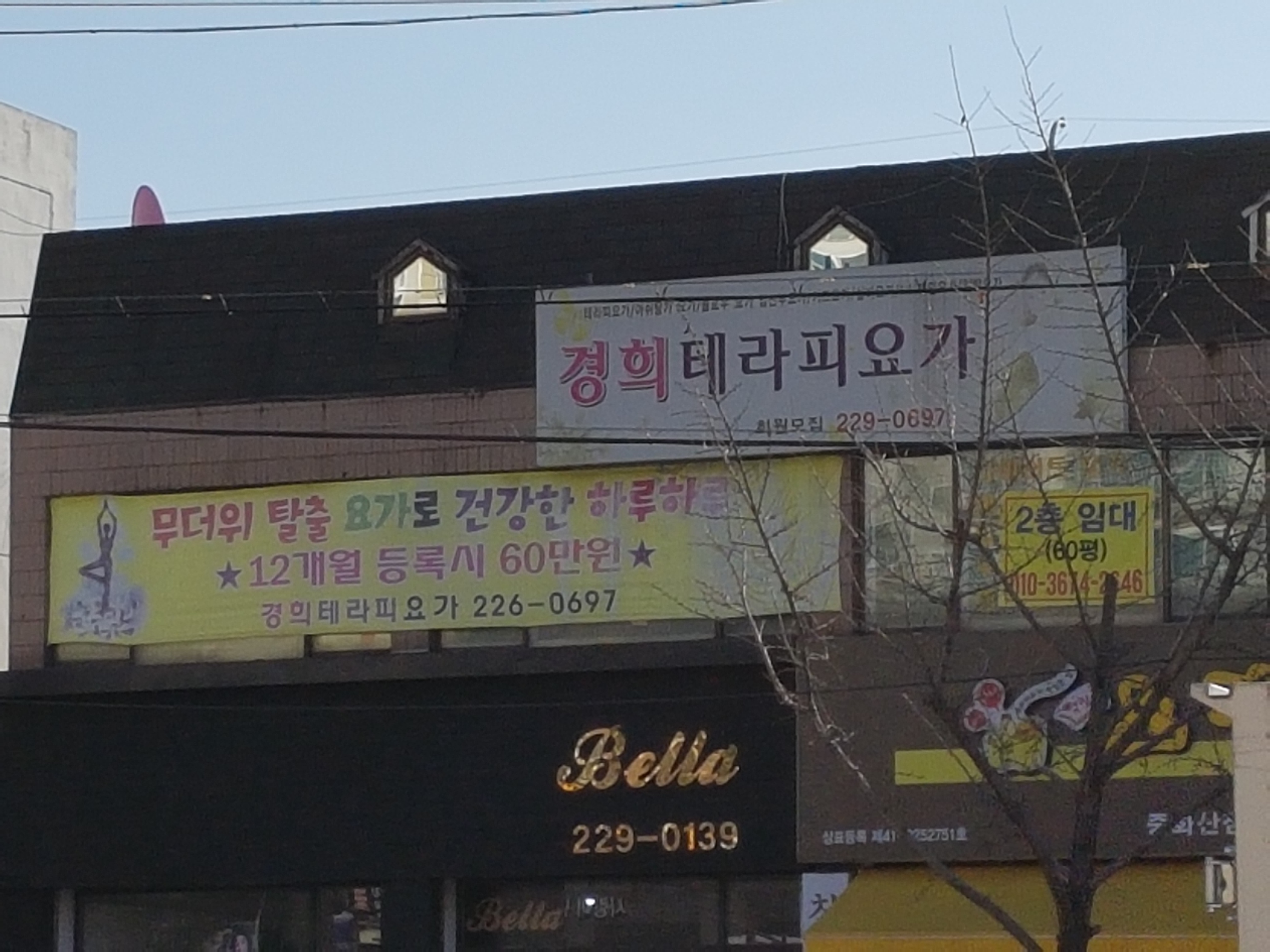 경희테라피요가 대표 이미지