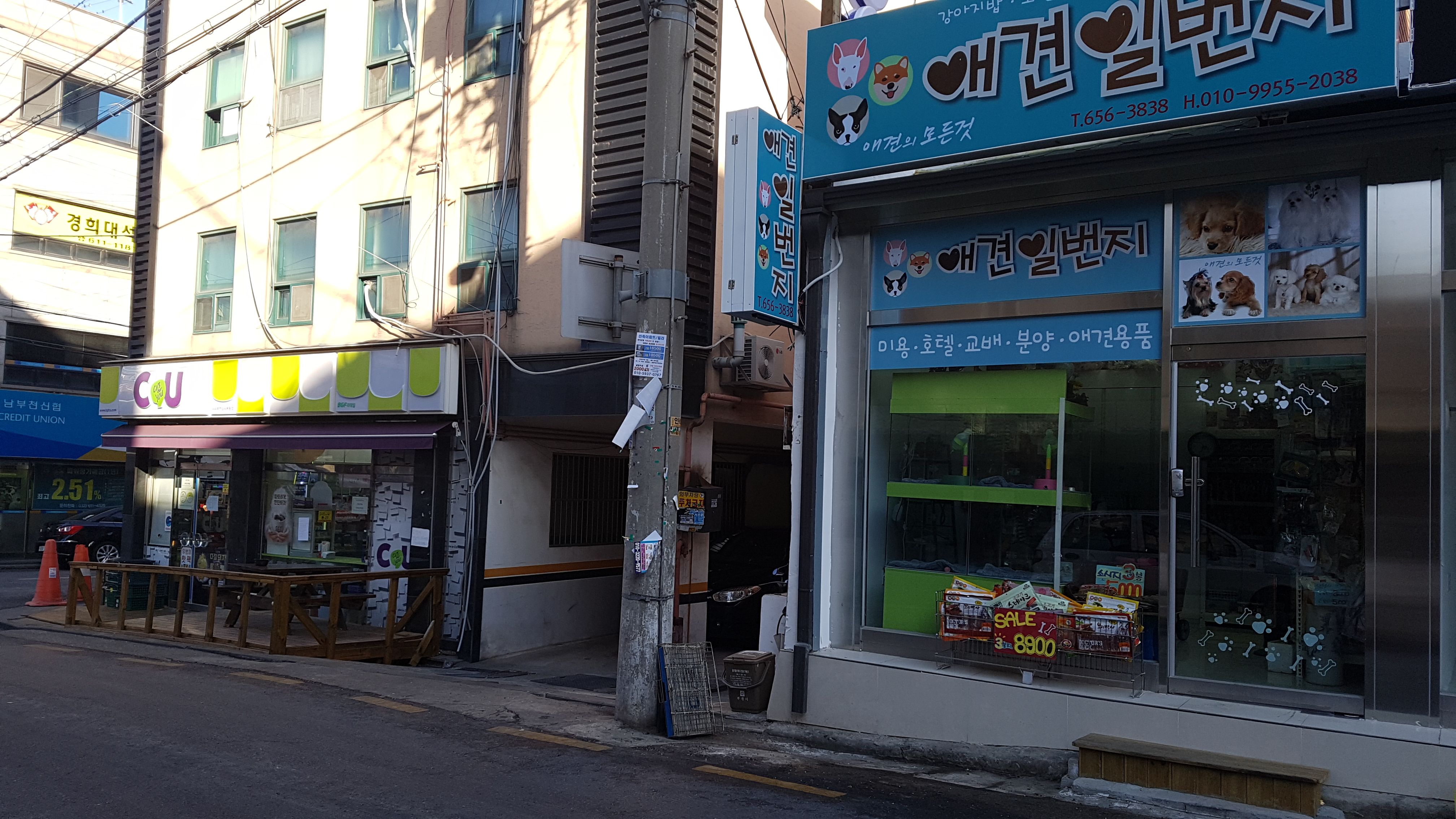 애견일번지