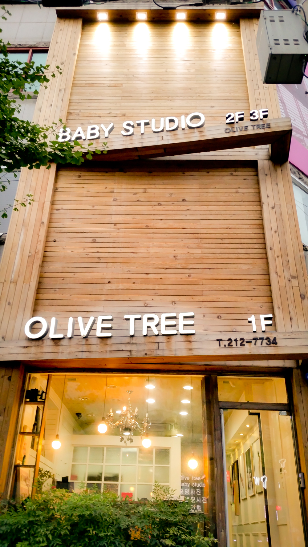 올리브트리스튜디오