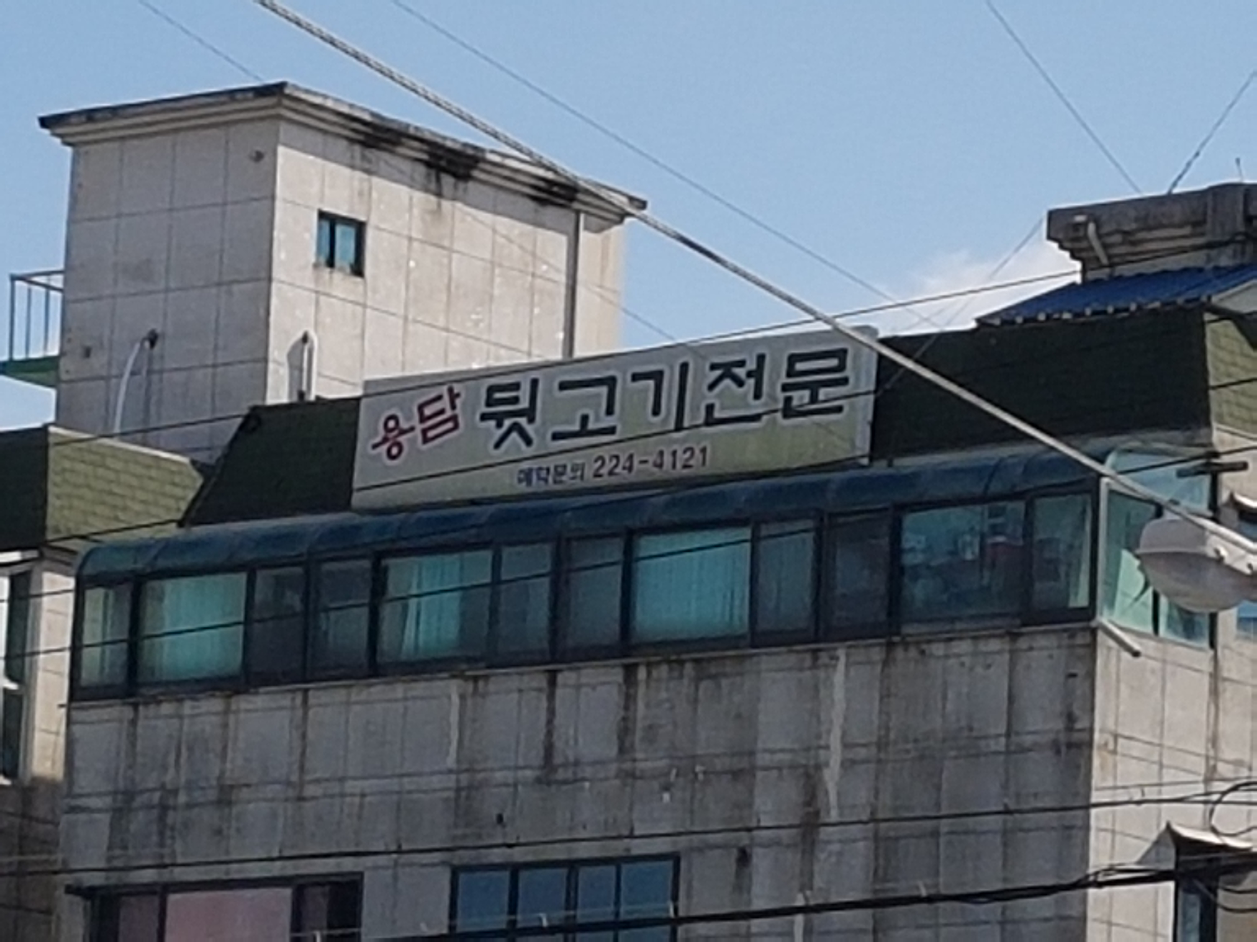 용담베리숲 카페 경상 애견맛집